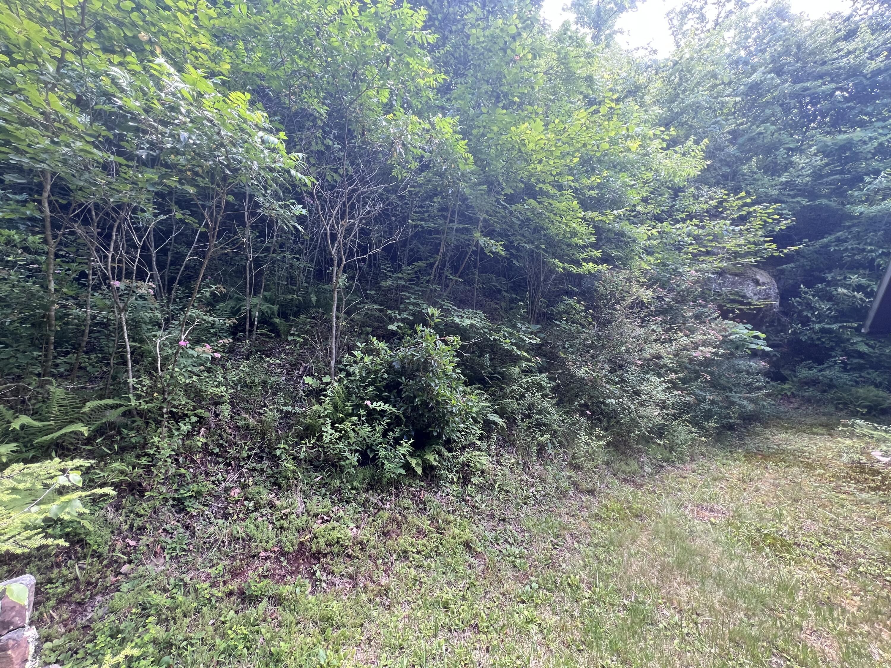 207 Jim Hollow Road Property Photo 19
