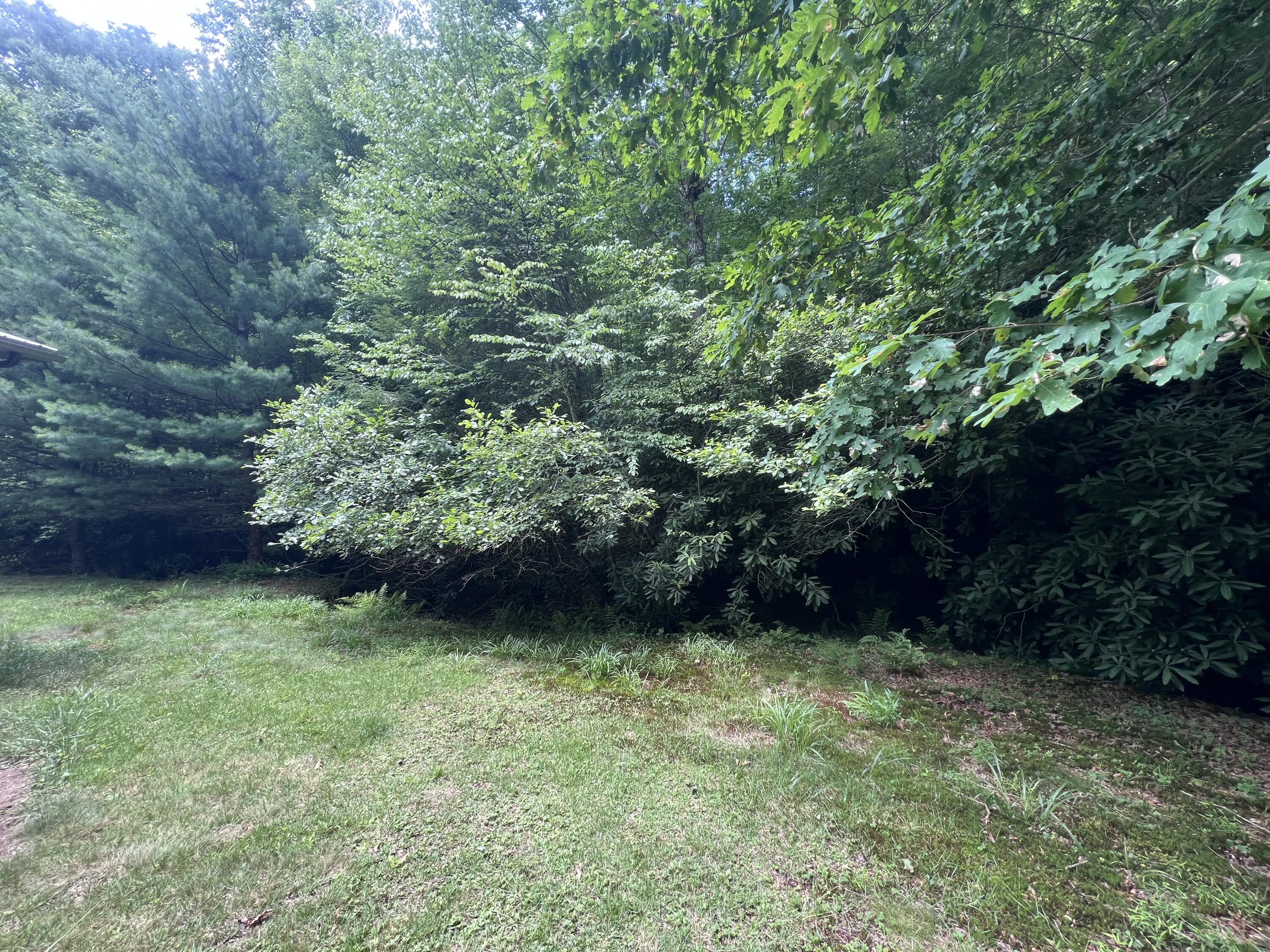 207 Jim Hollow Road Property Photo 21