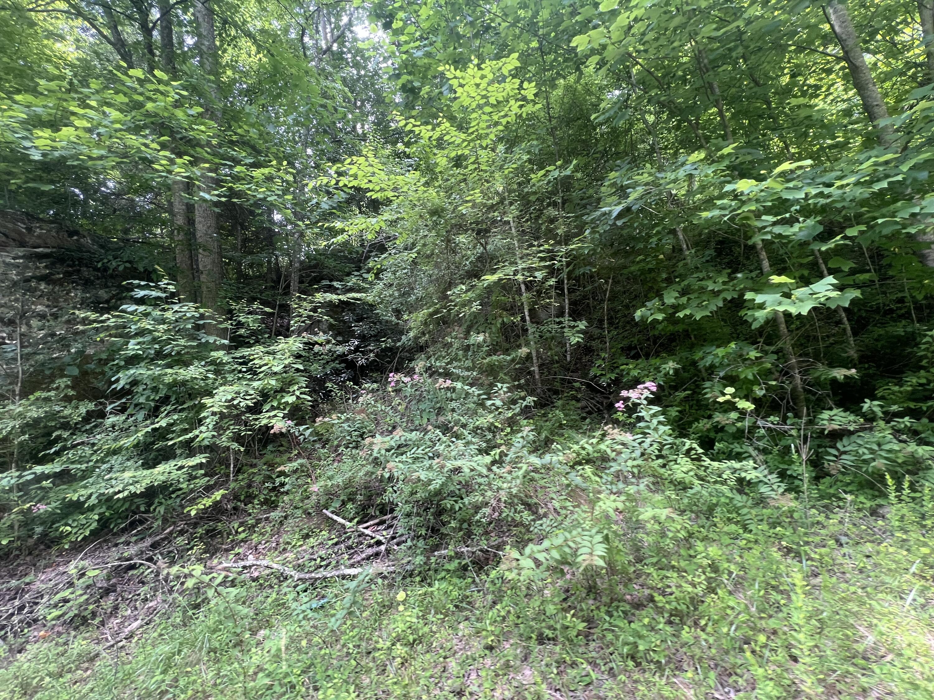 207 Jim Hollow Road Property Photo 23