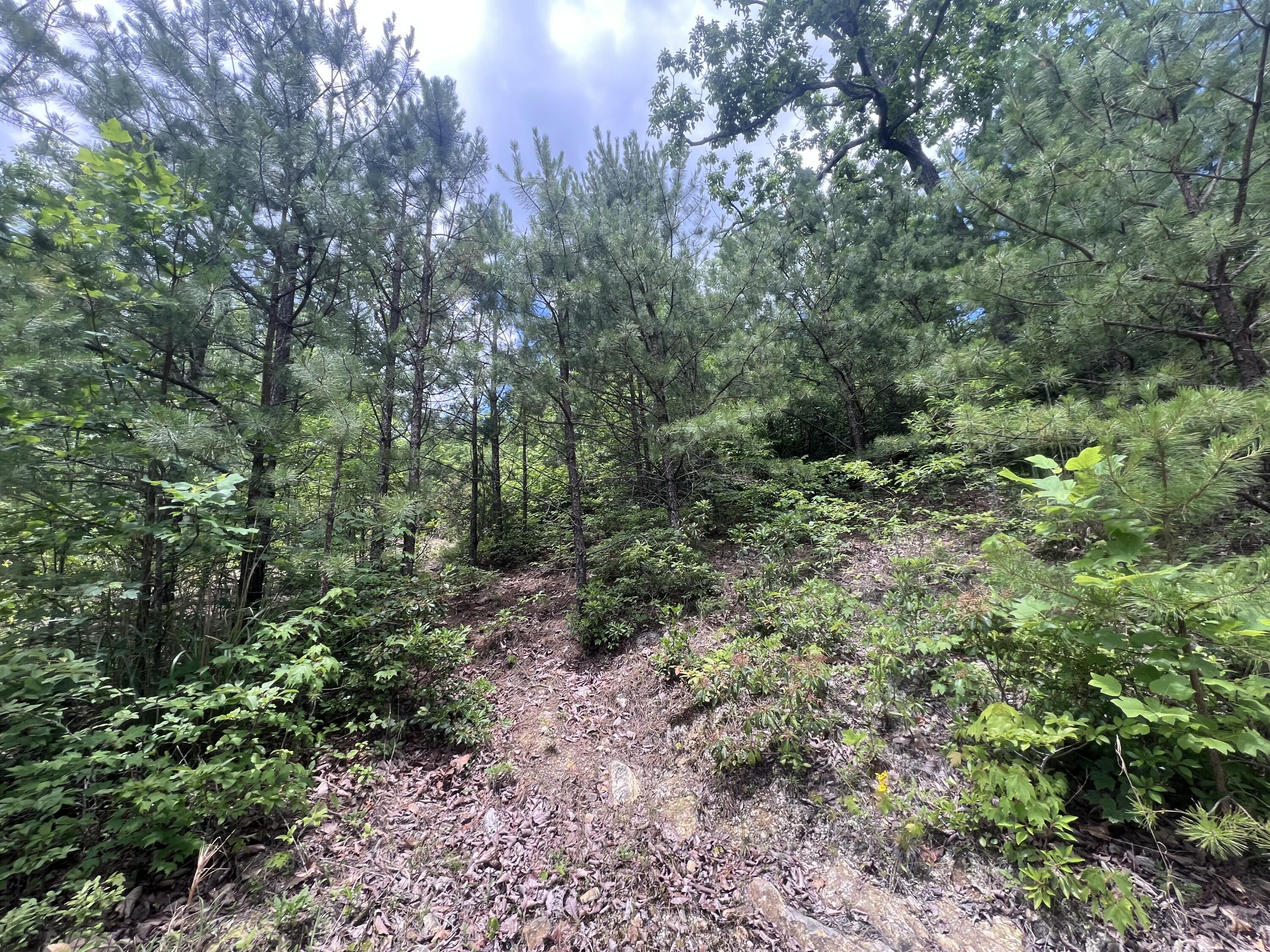 207 Jim Hollow Road Property Photo 24