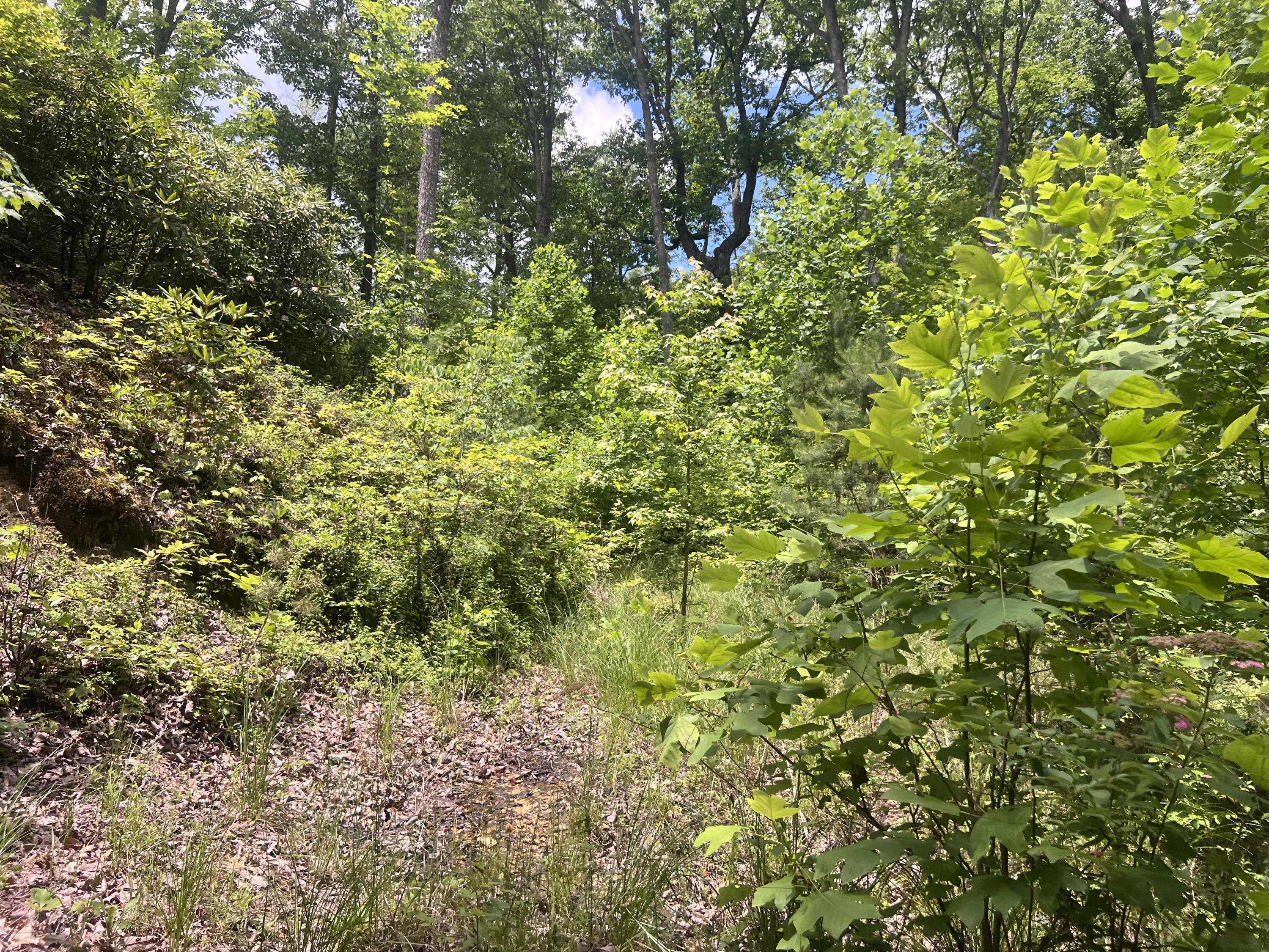 207 Jim Hollow Road Property Photo 26