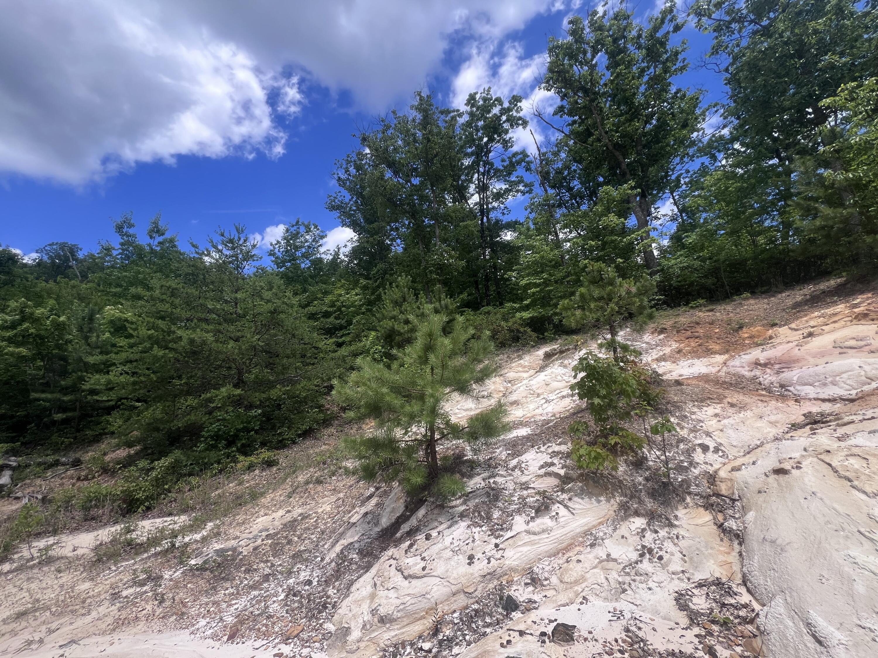 207 Jim Hollow Road Property Photo 29