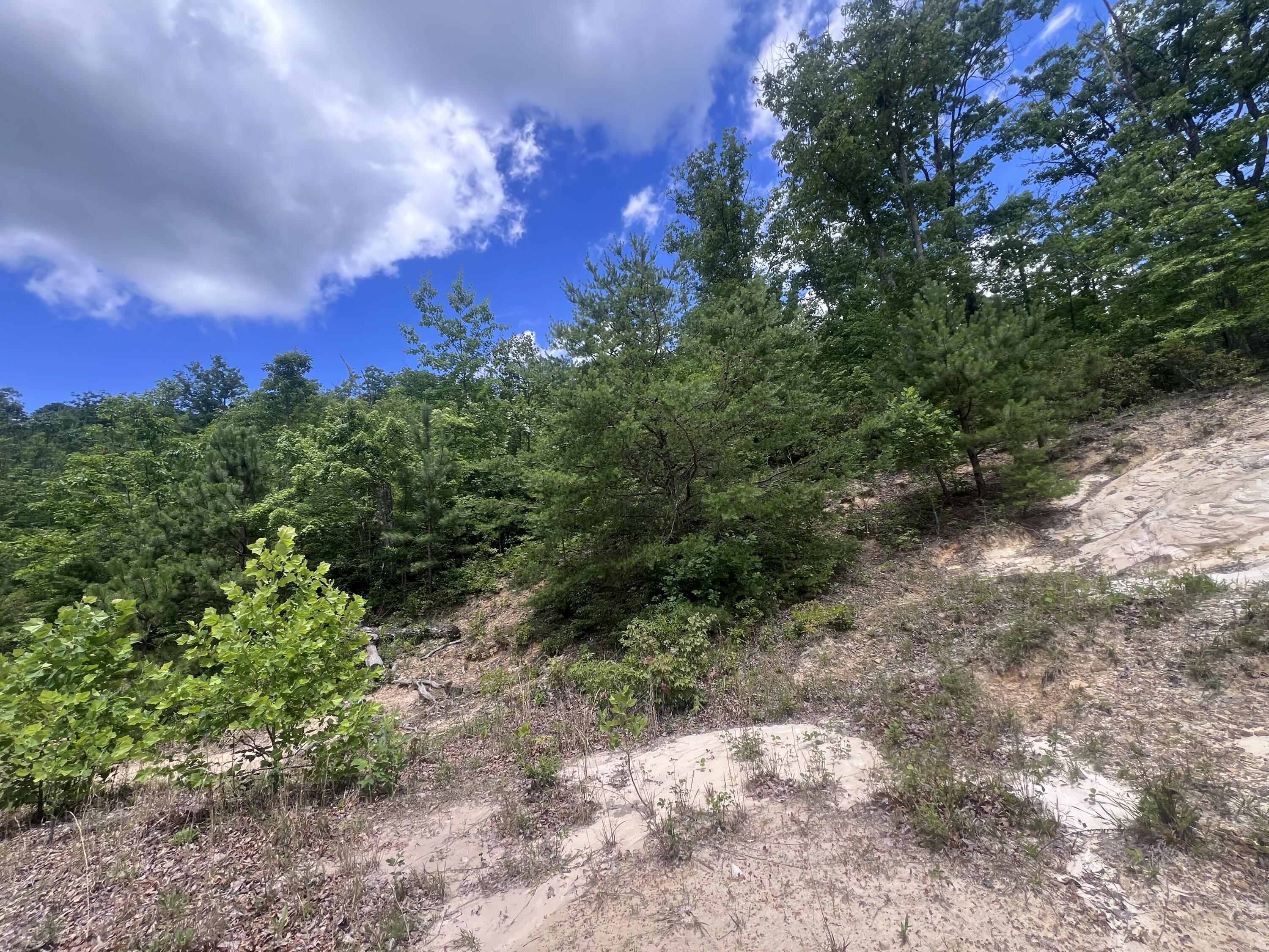 207 Jim Hollow Road Property Photo 30