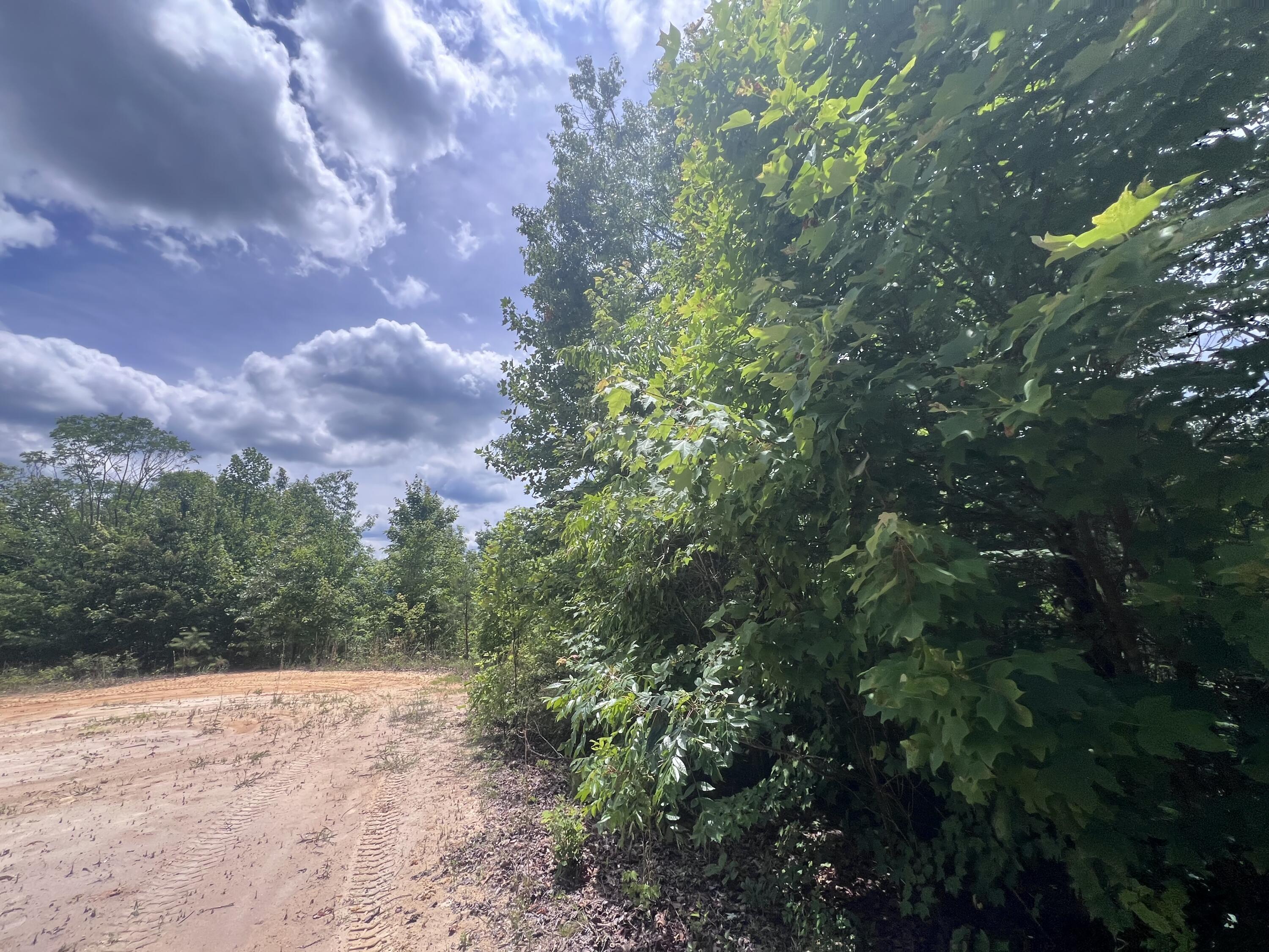 207 Jim Hollow Road Property Photo 31