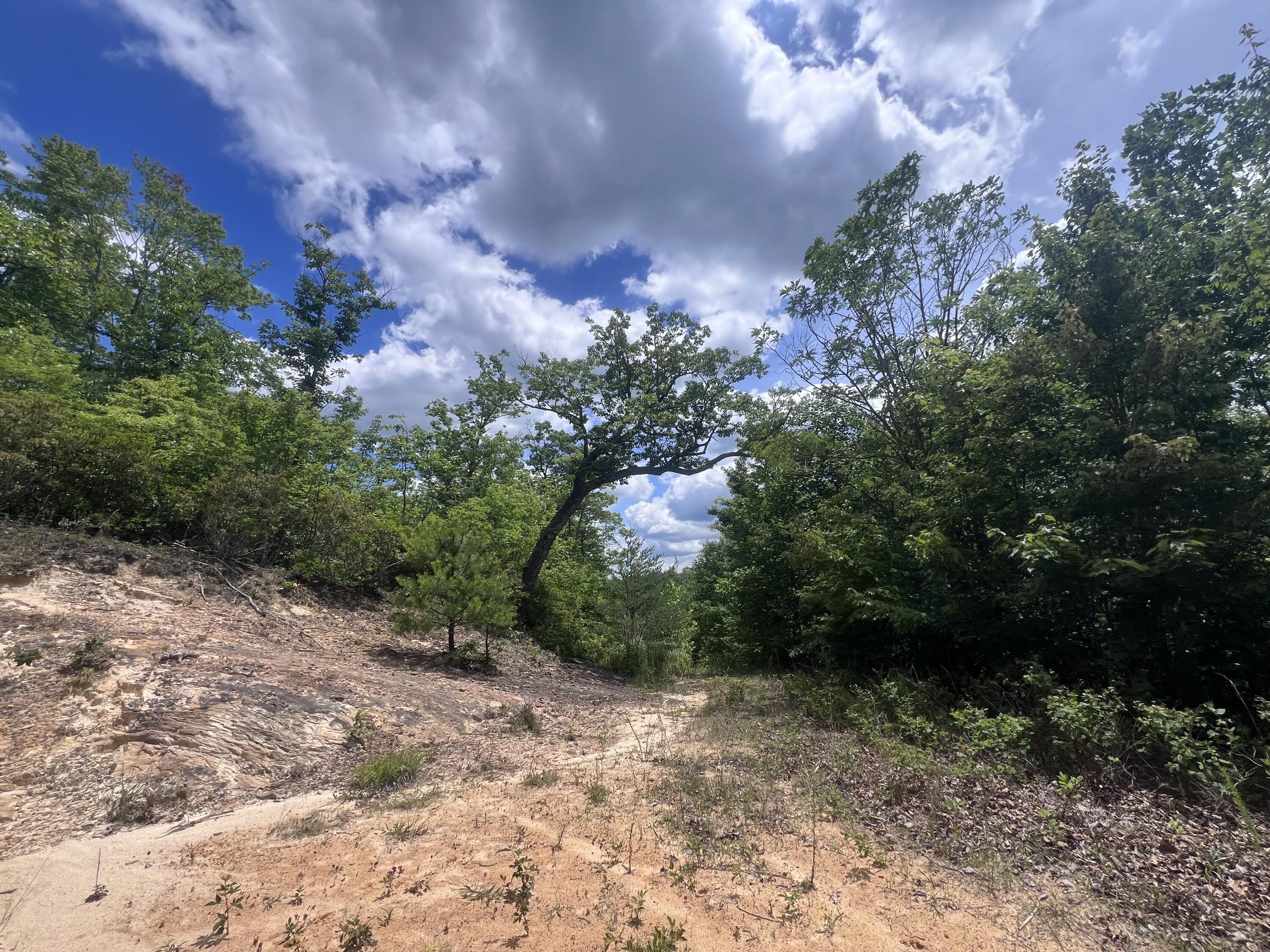 207 Jim Hollow Road Property Photo 32