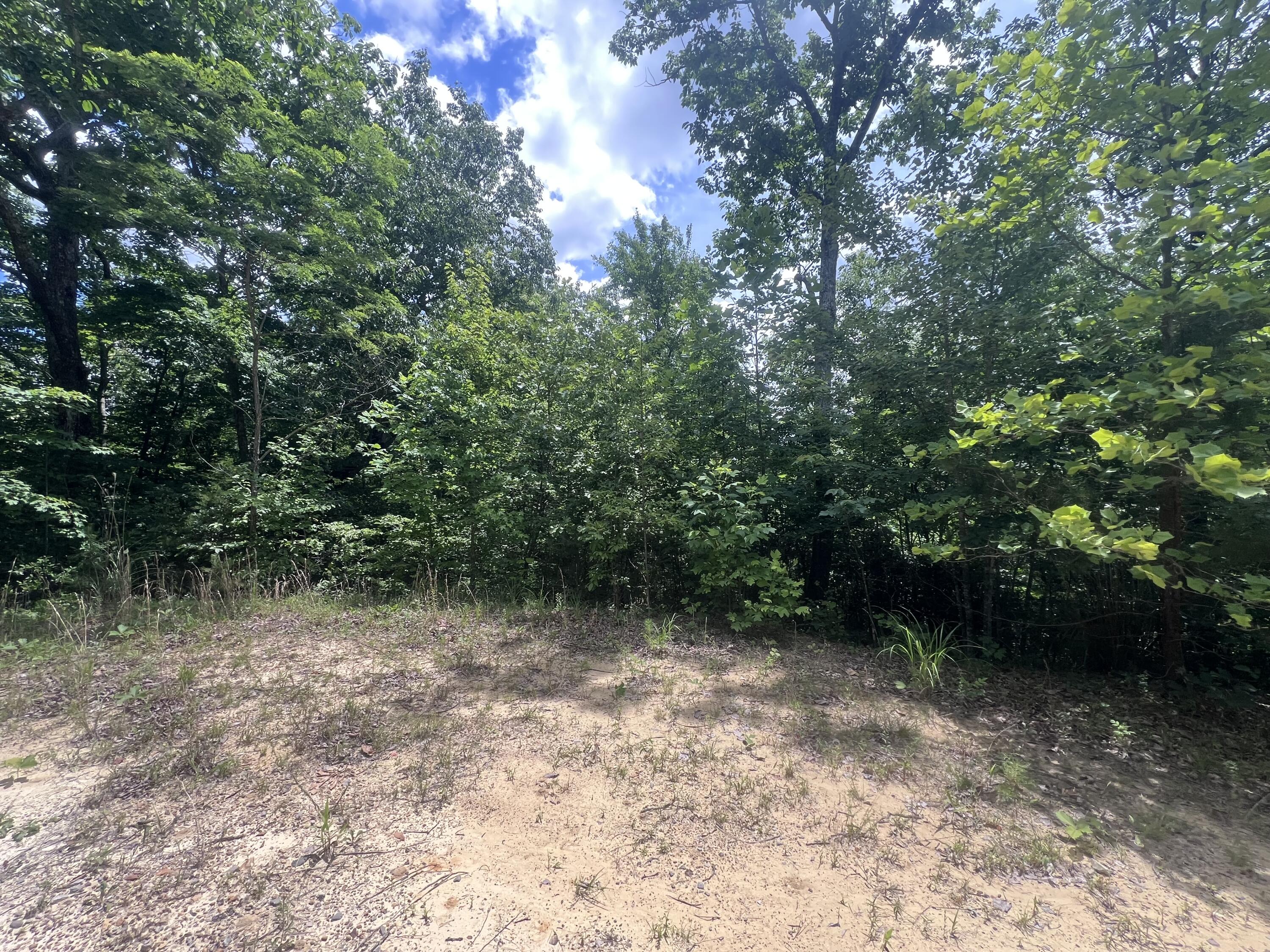 207 Jim Hollow Road Property Photo 33