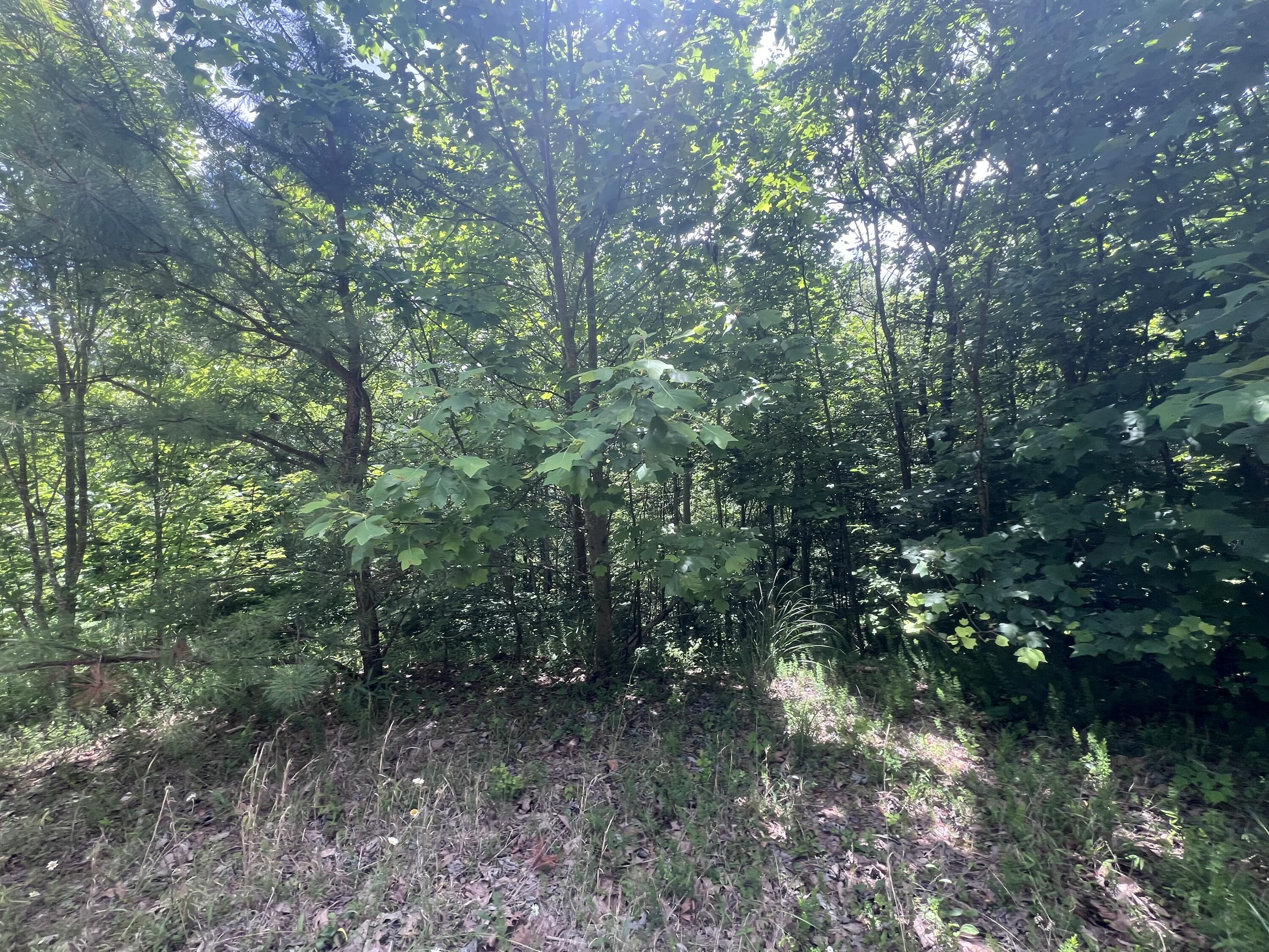 207 Jim Hollow Road Property Photo 34
