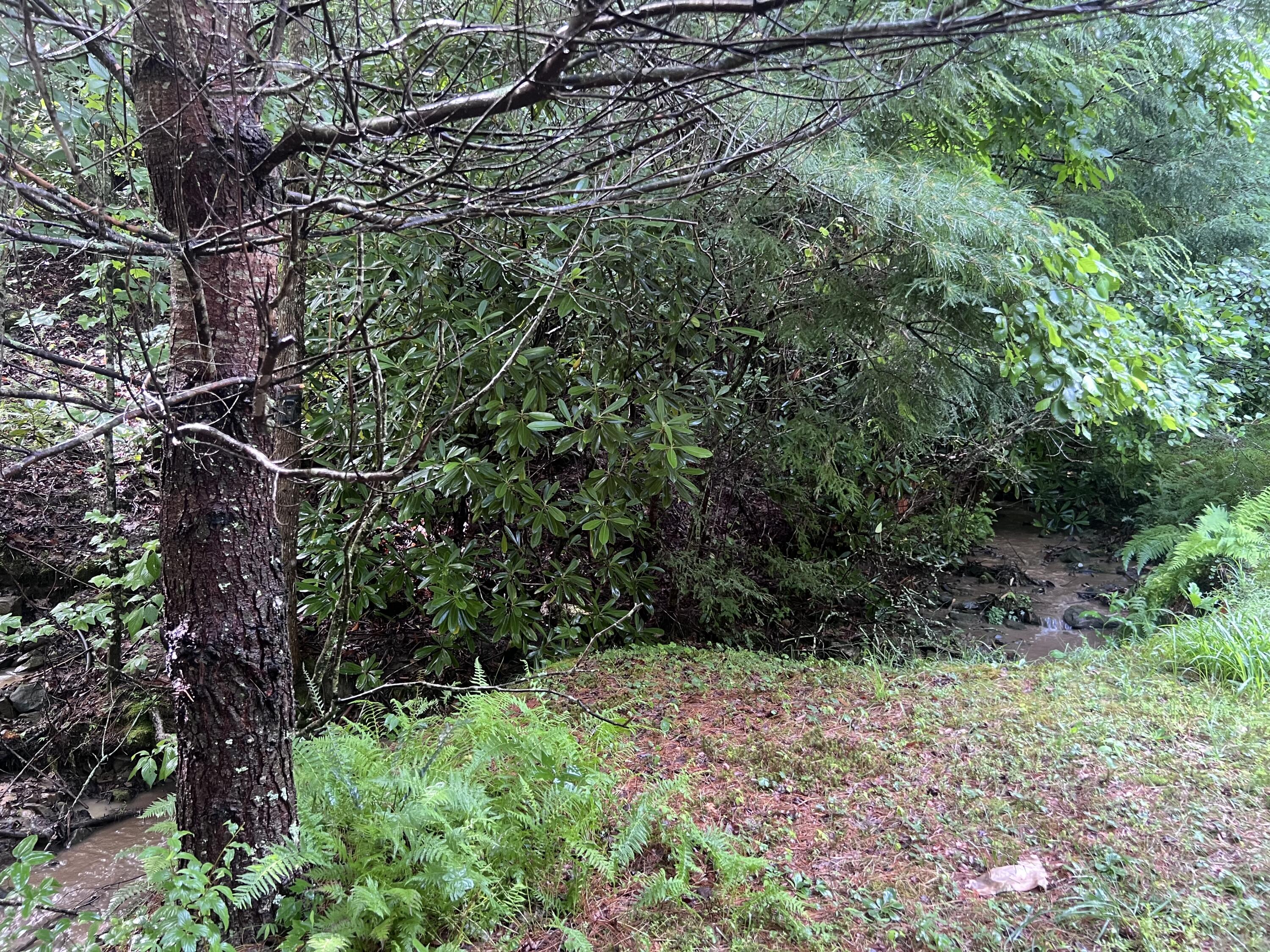 207 Jim Hollow Road Property Photo 39