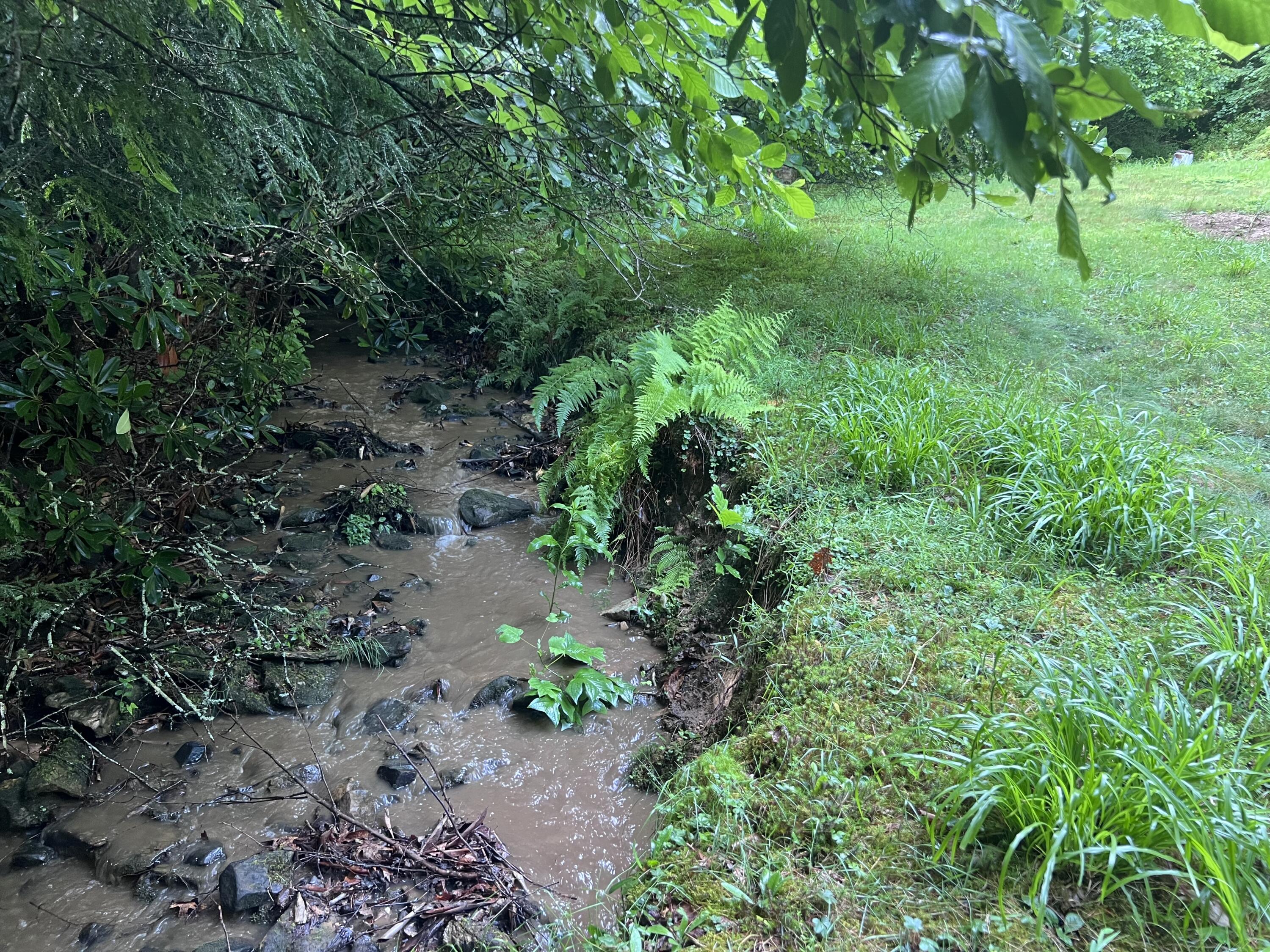 207 Jim Hollow Road Property Photo 42