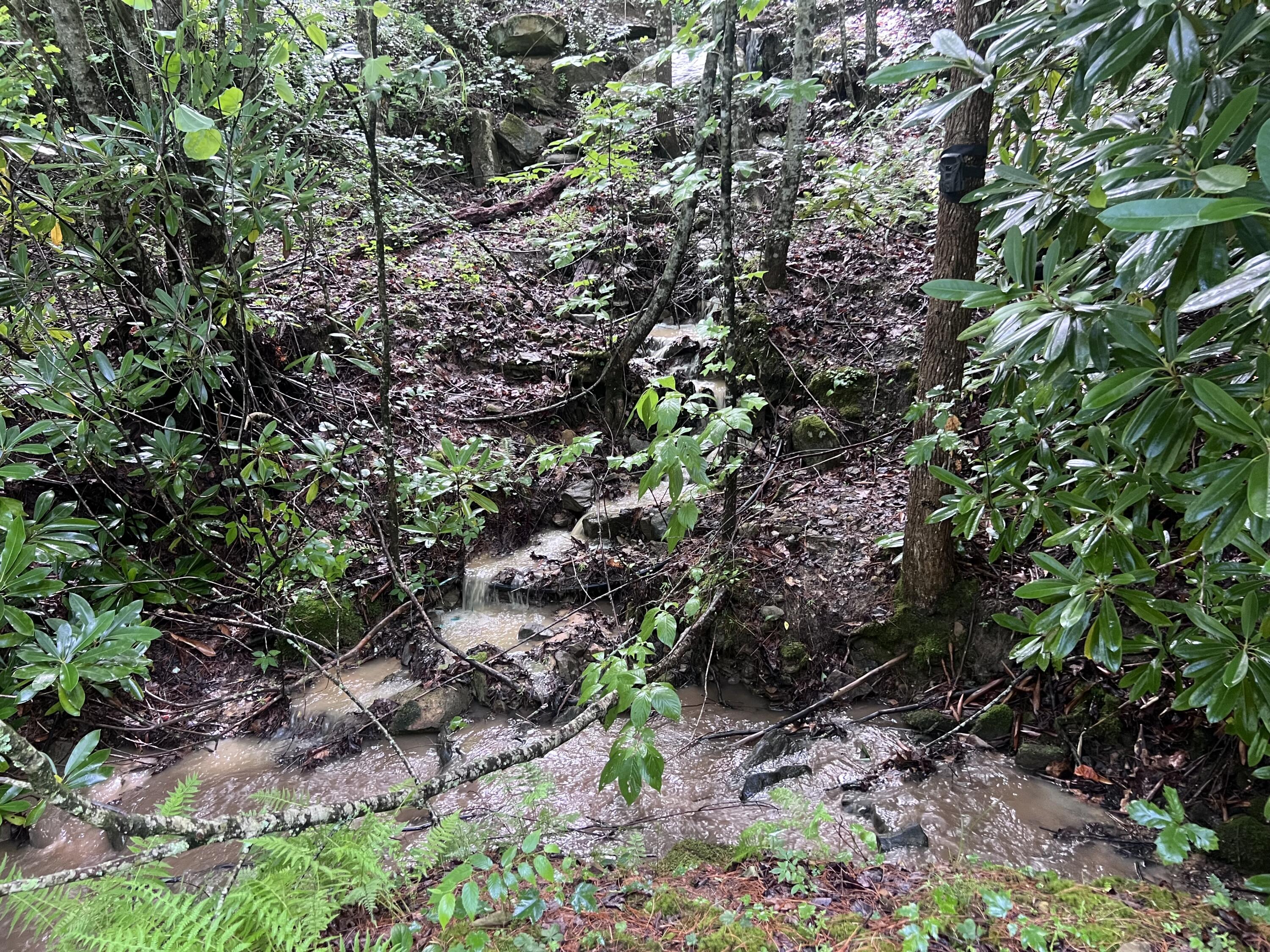 207 Jim Hollow Road Property Photo 43