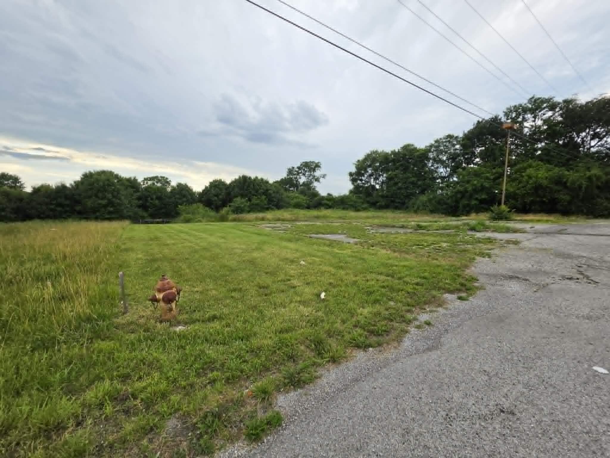 140 Laralan Ave Avenue Property Photo 1
