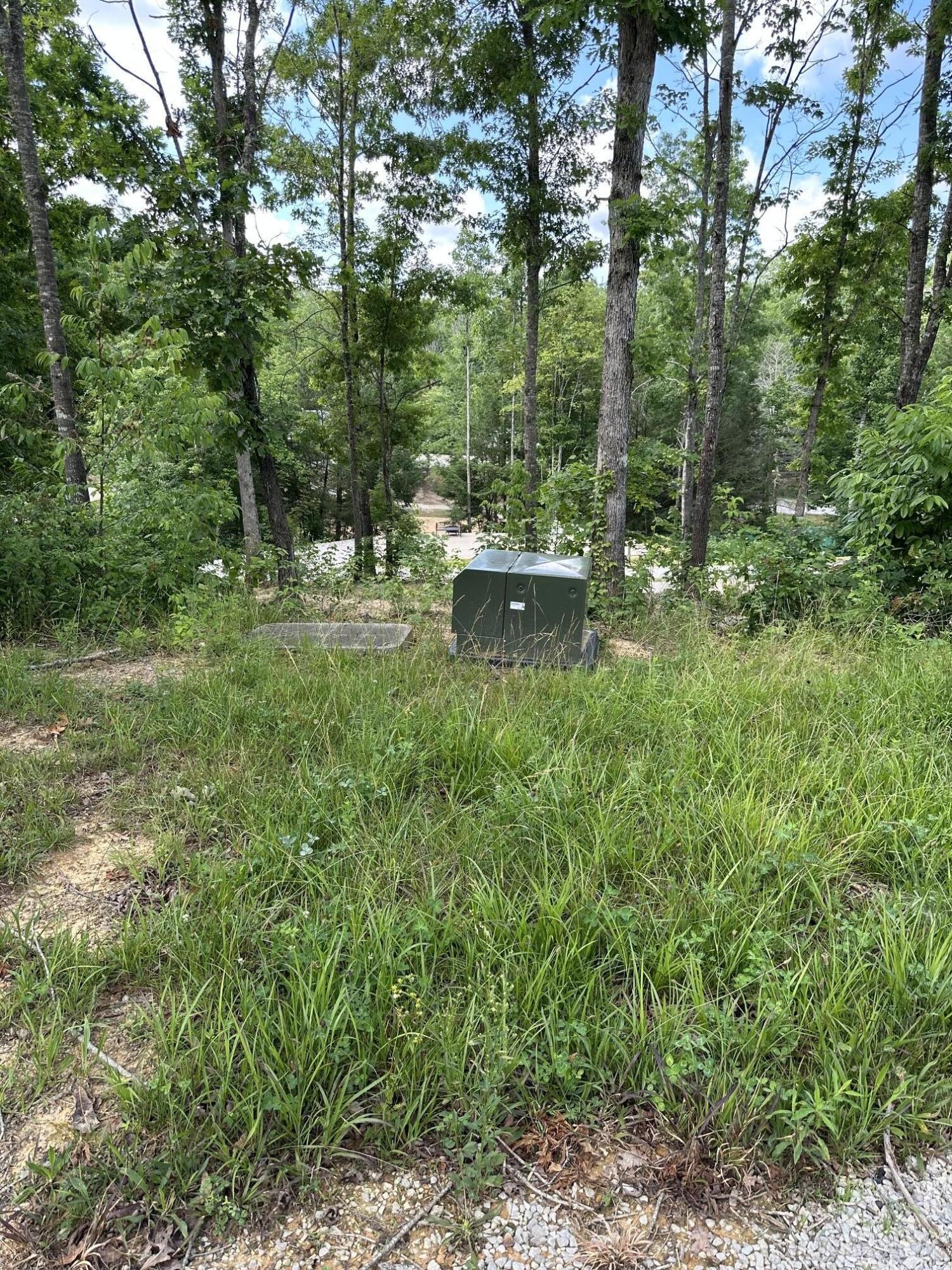 40 Anna Kate Trail Property Photo 10