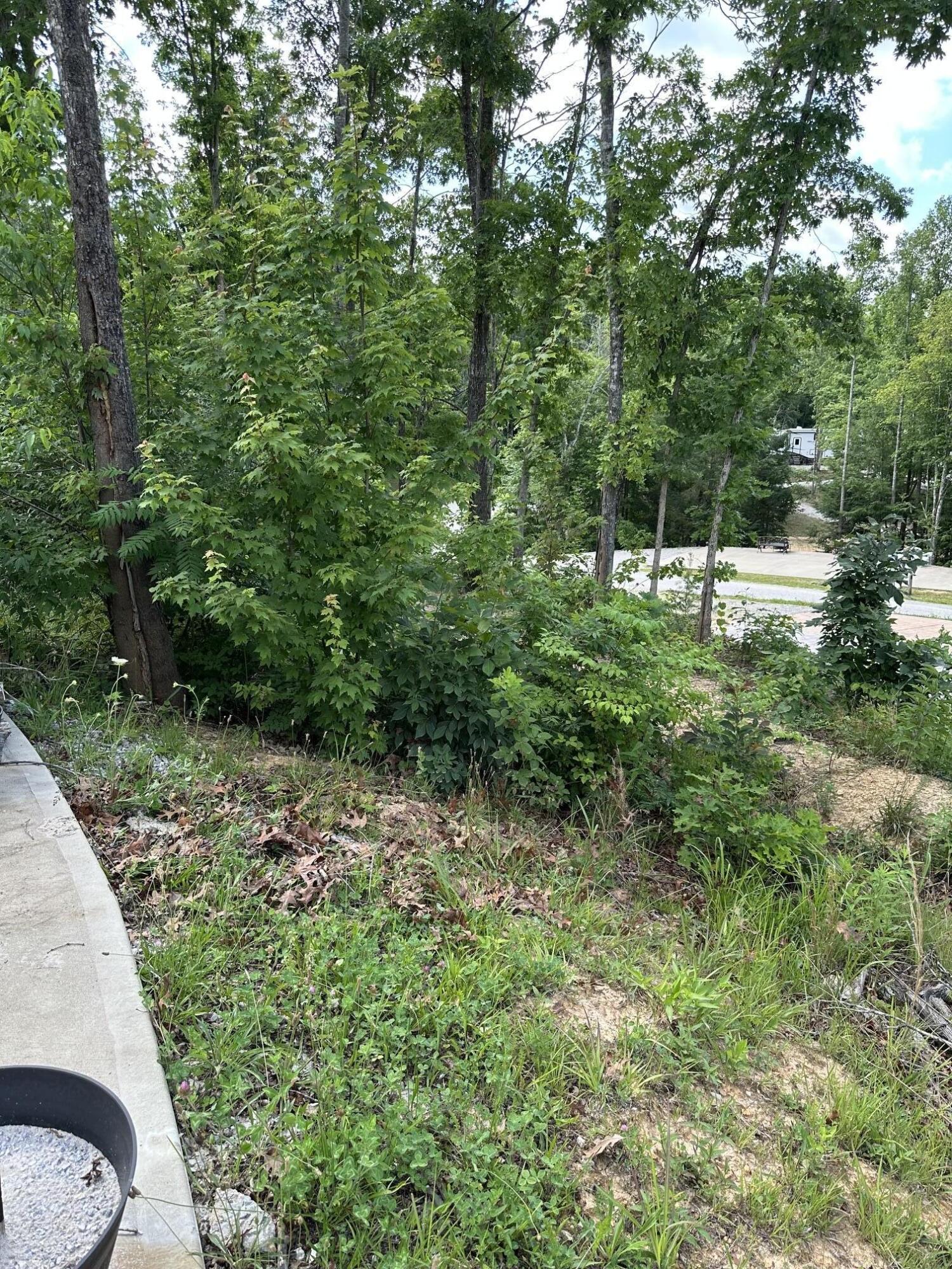 40 Anna Kate Trail Property Photo 12