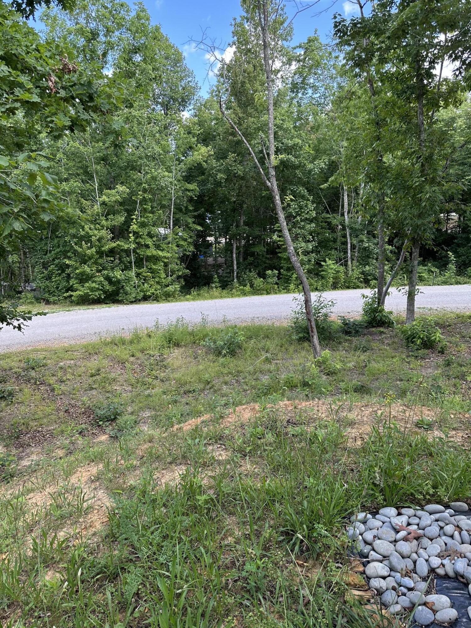 40 Anna Kate Trail Property Photo 14