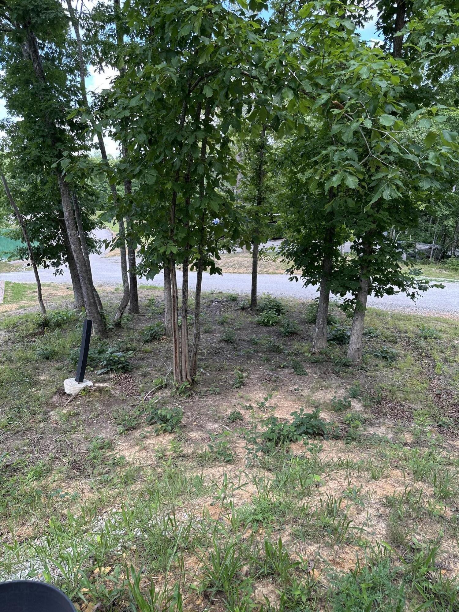 40 Anna Kate Trail Property Photo 15