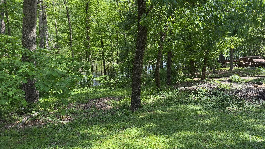 403 Timberlake Lane Property Photo 13