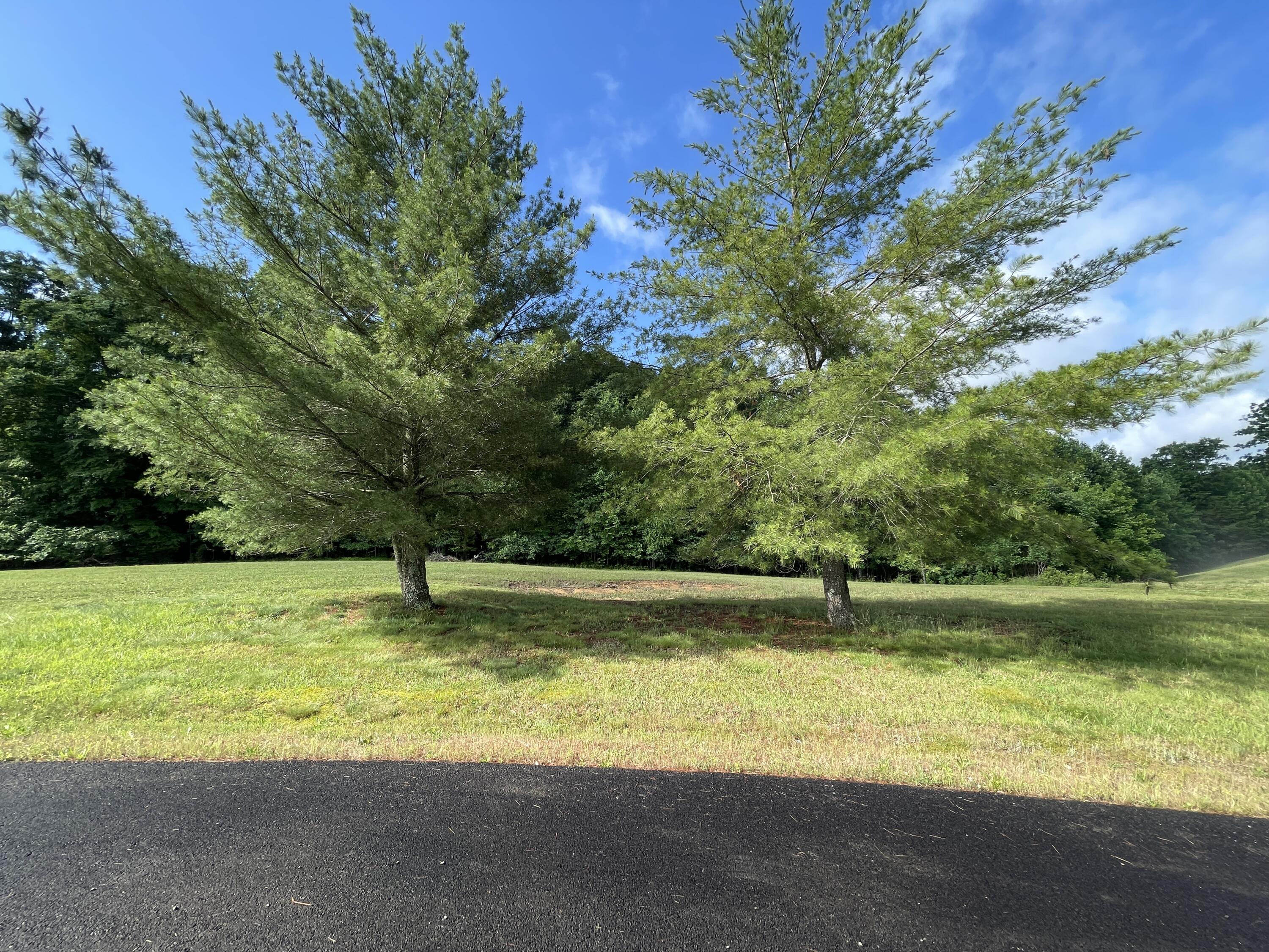 52 52 Zion Loop Loop Property Photo 2