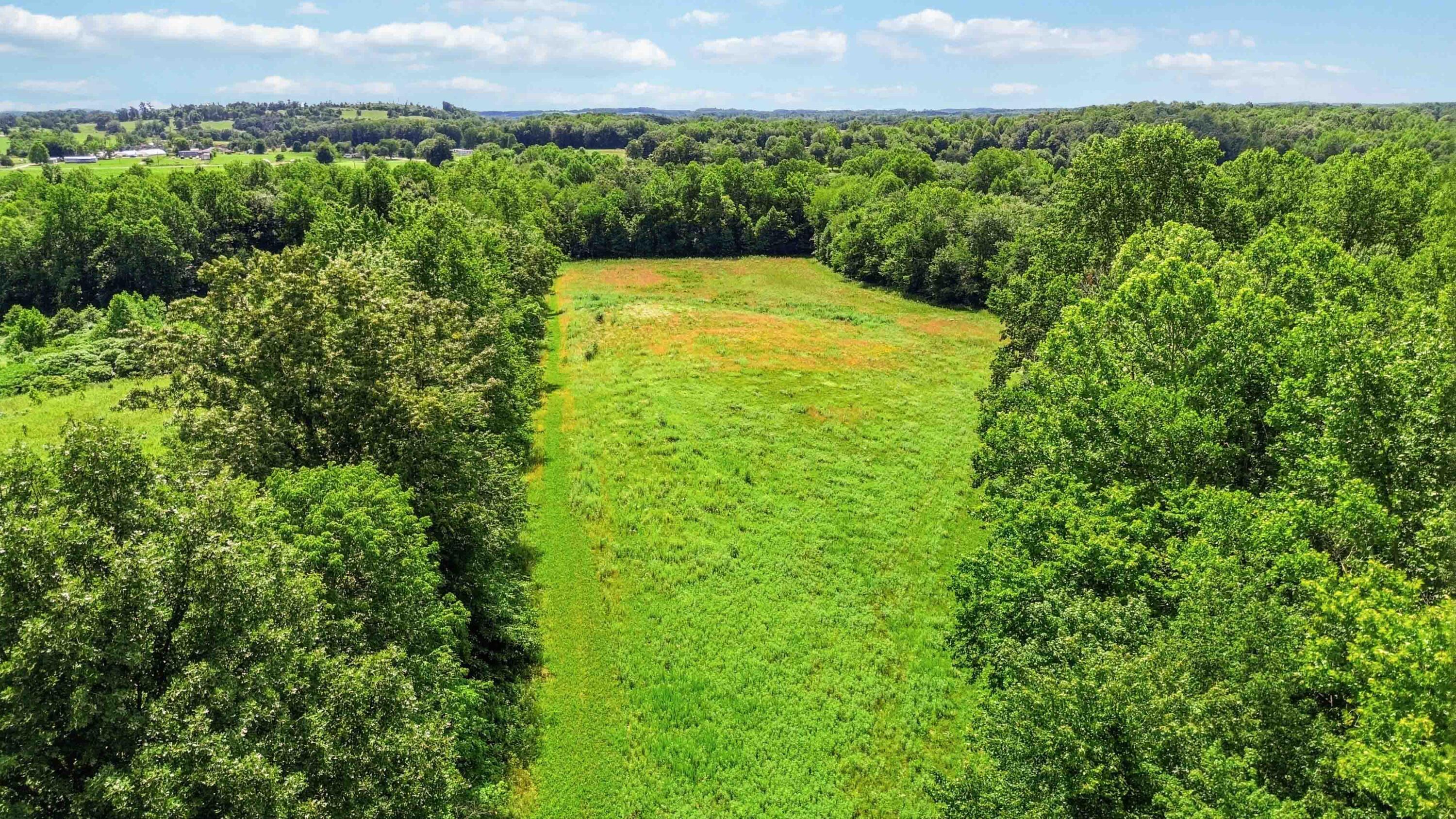 1510 State Hwy 865 Property Photo 50