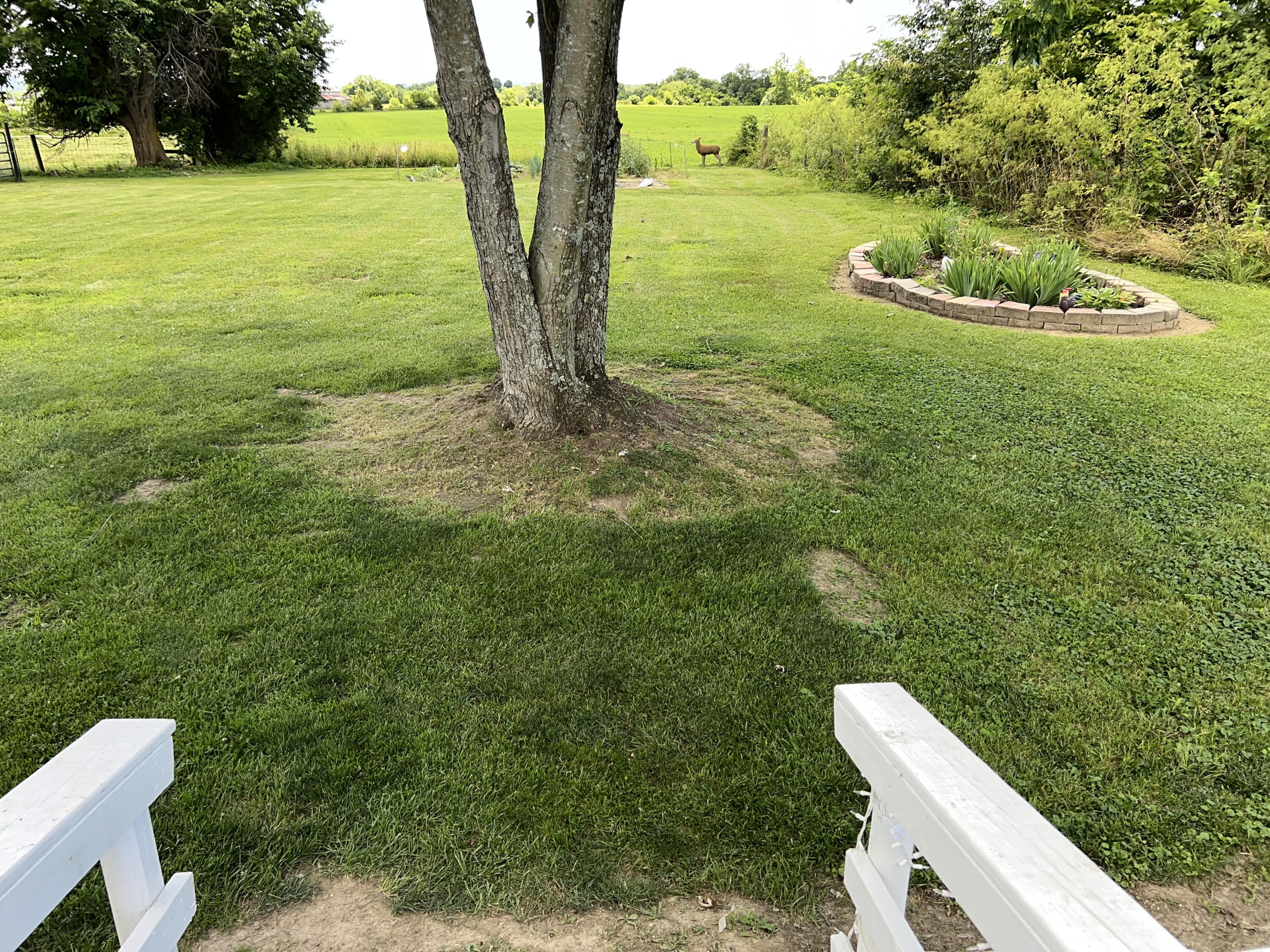 98 Bolton Lane Property Photo 16