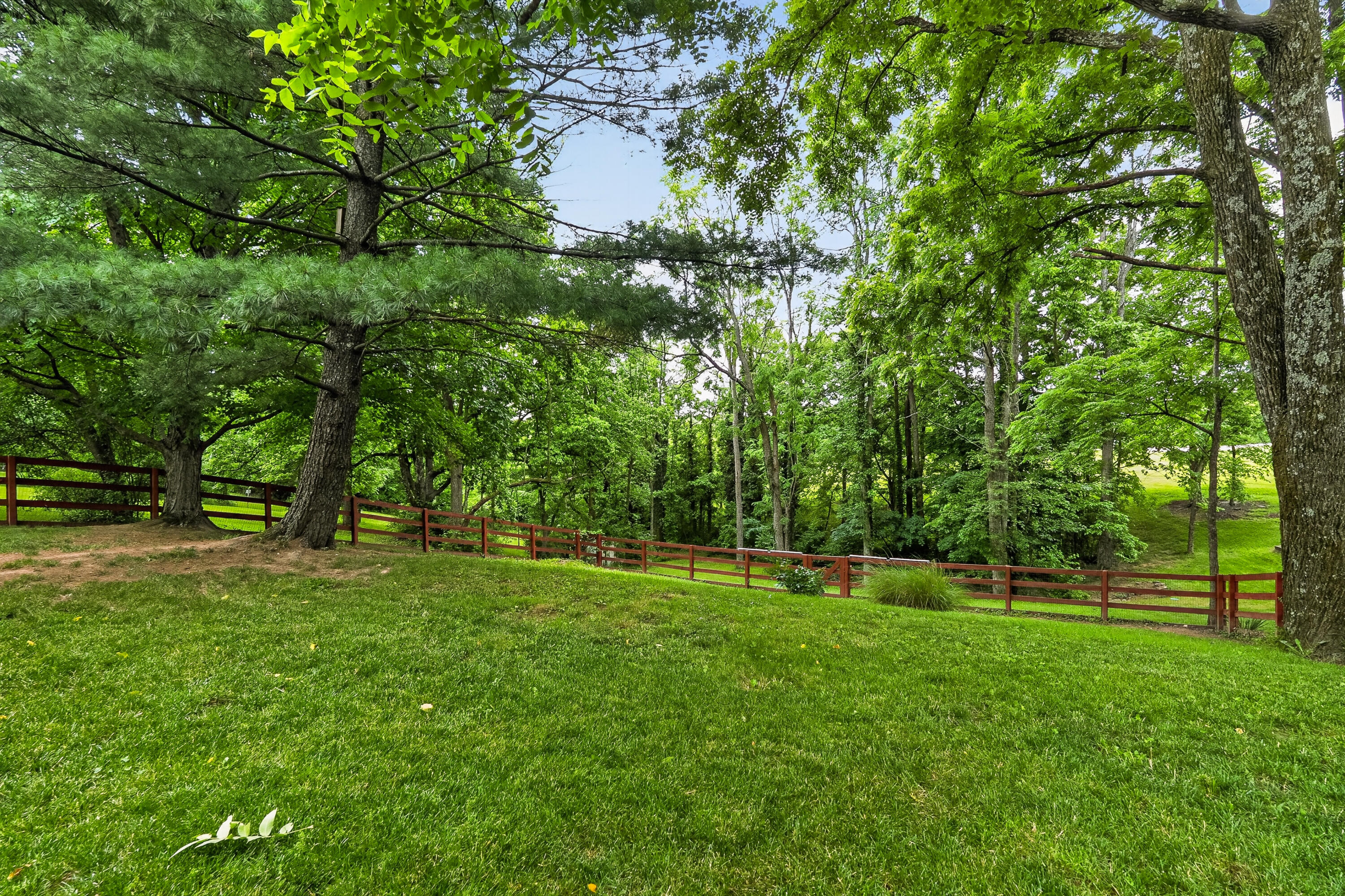 210 Ridgelea Drive Property Photo 13