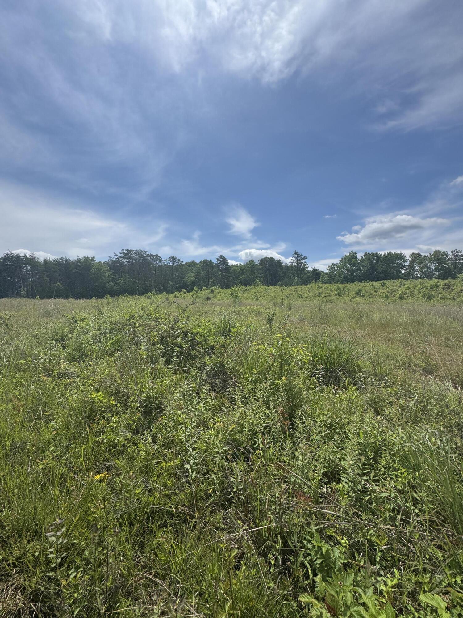 003 Kentucky 770 Property Photo 7