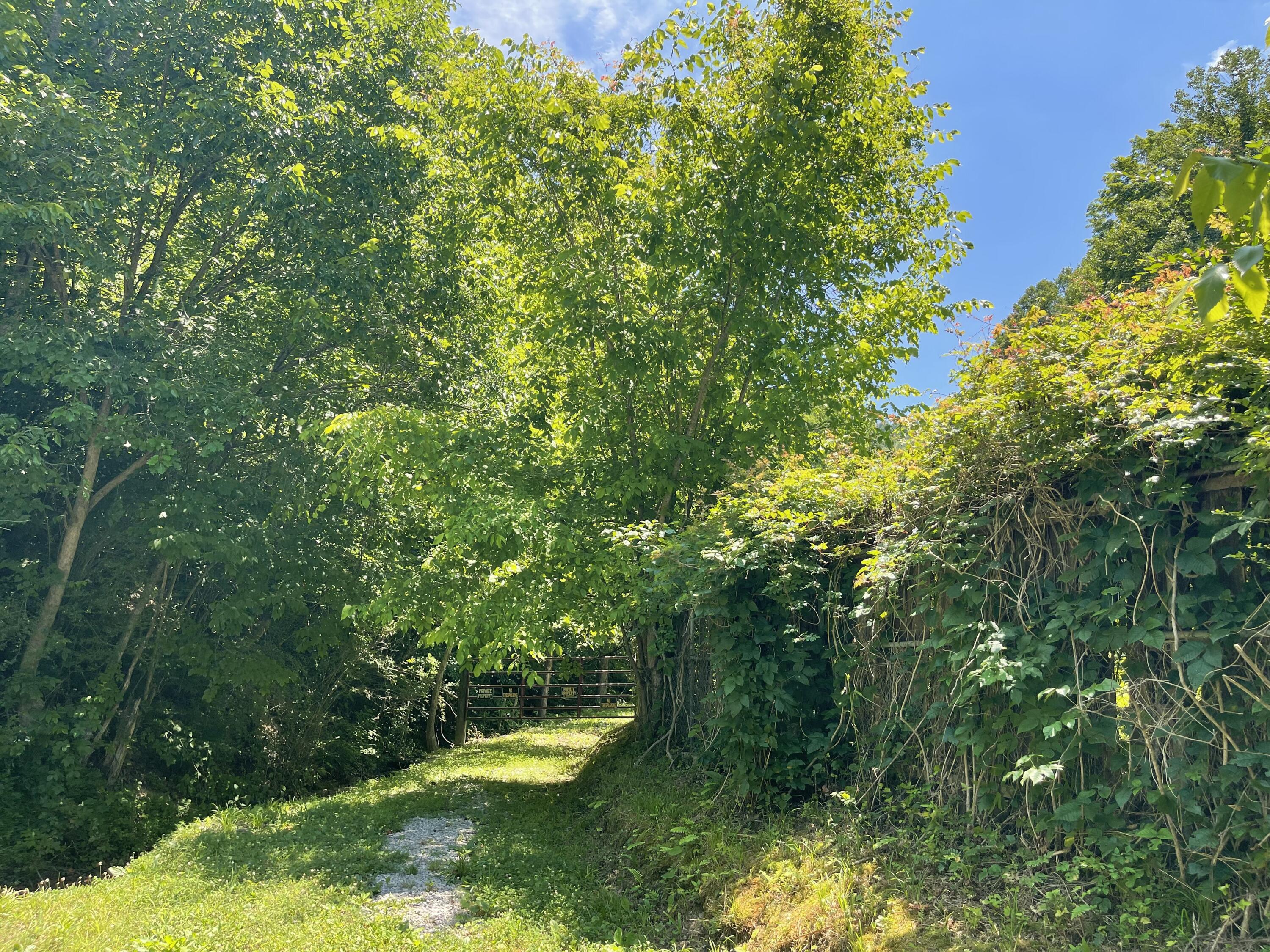 6758 Highway 66 Property Photo 1