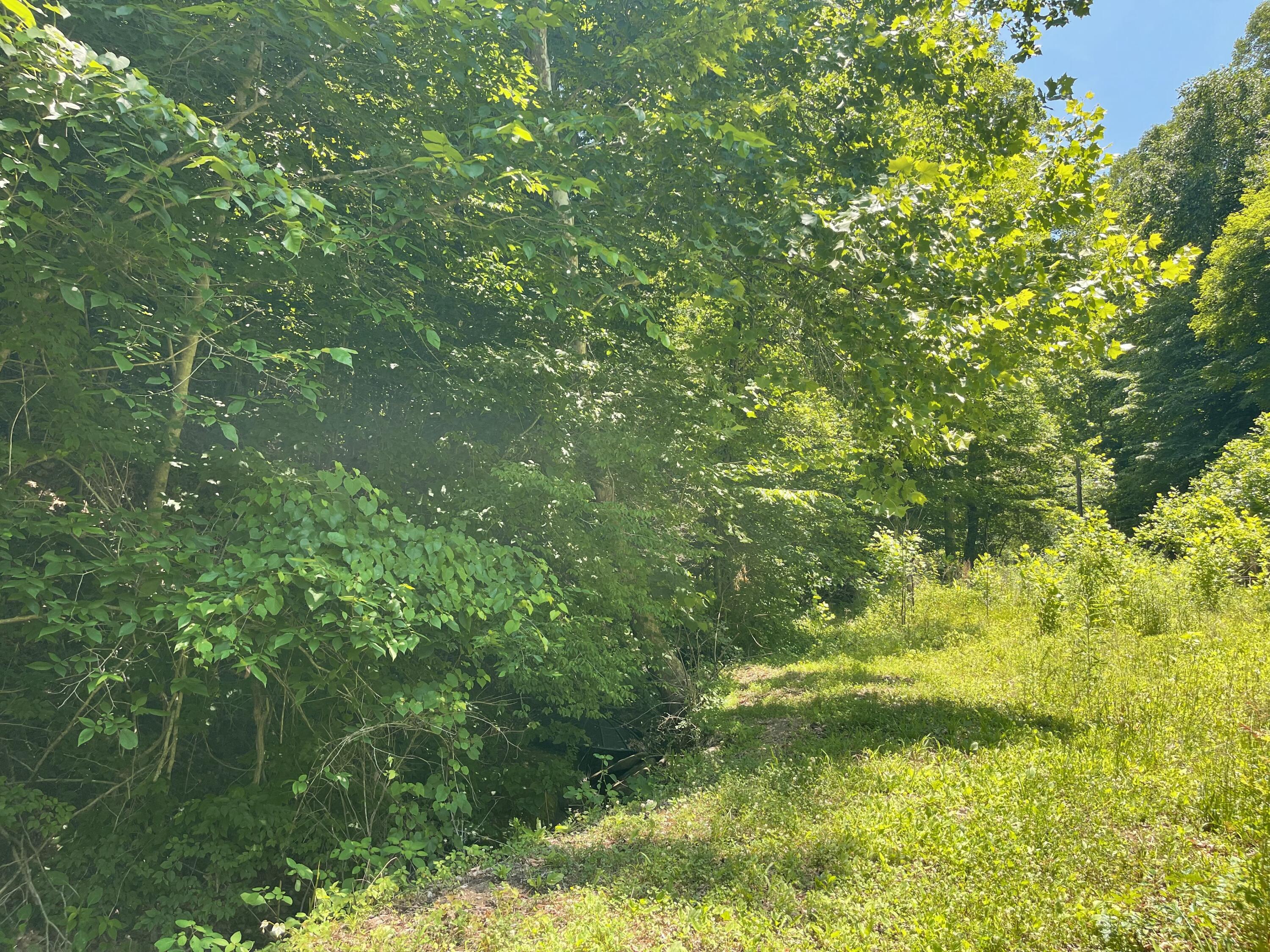 6758 Highway 66 Property Photo 4