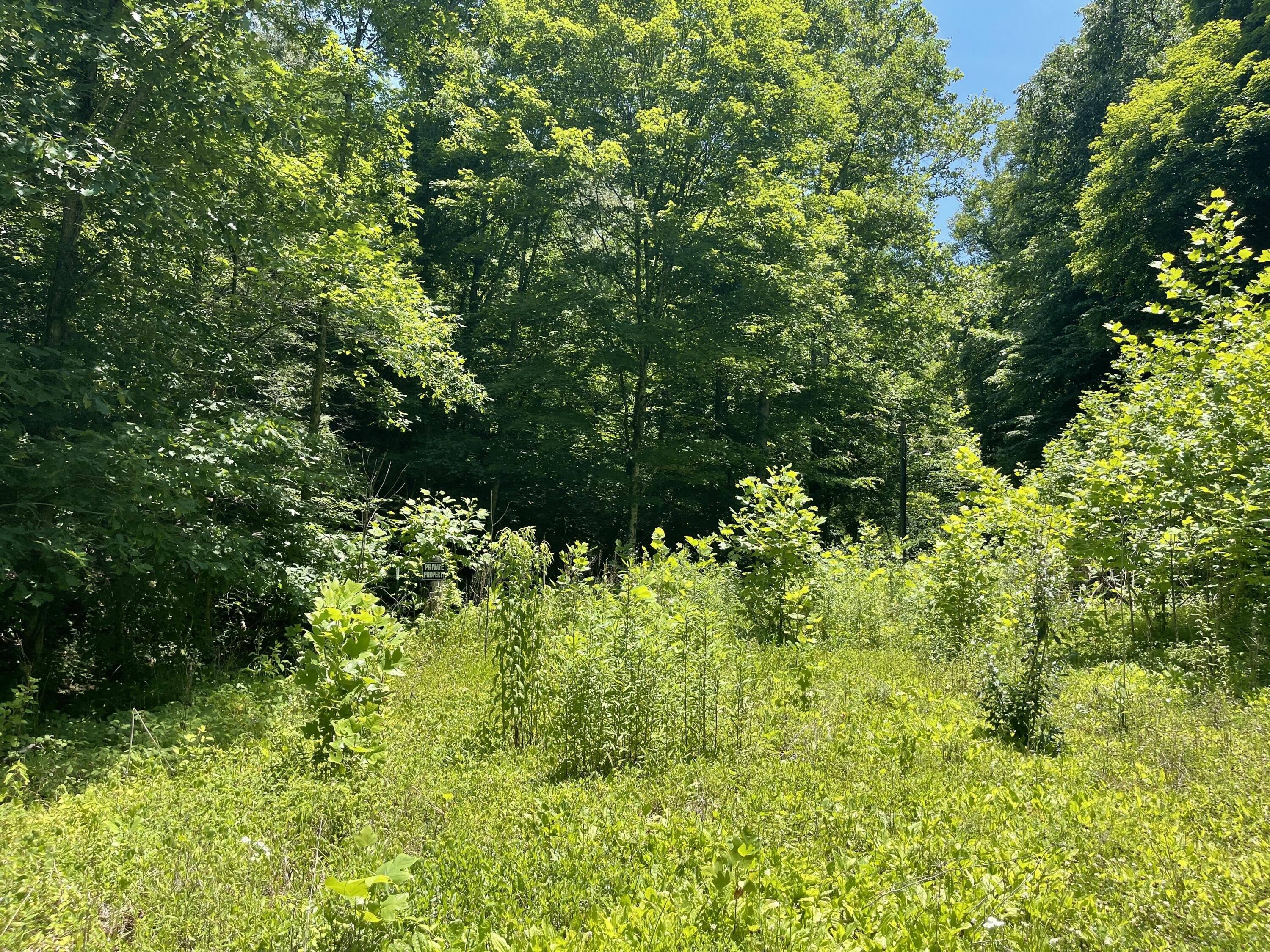 6758 Highway 66 Property Photo 5
