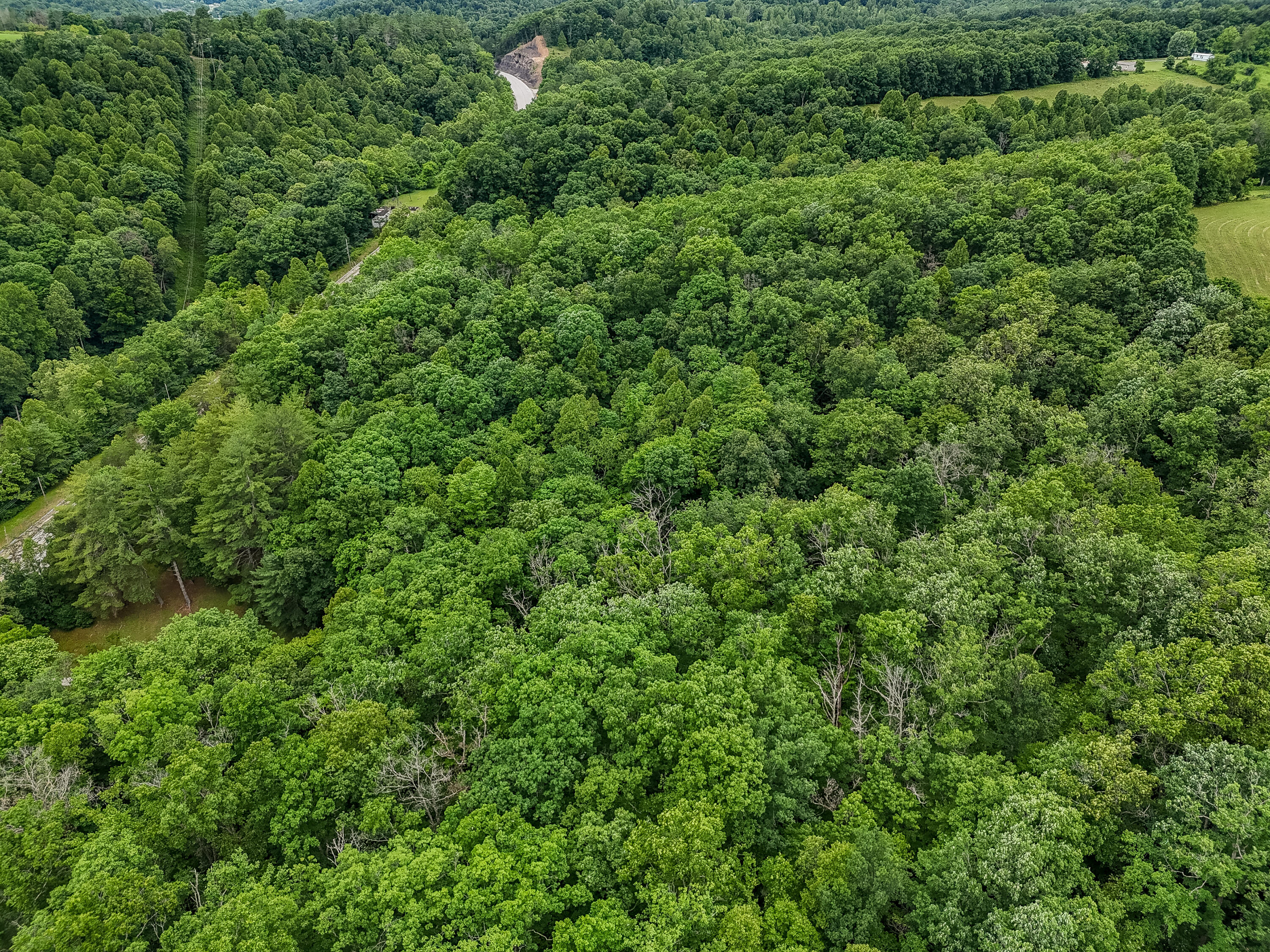 16596 W Us. Highway 60 Property Photo 50