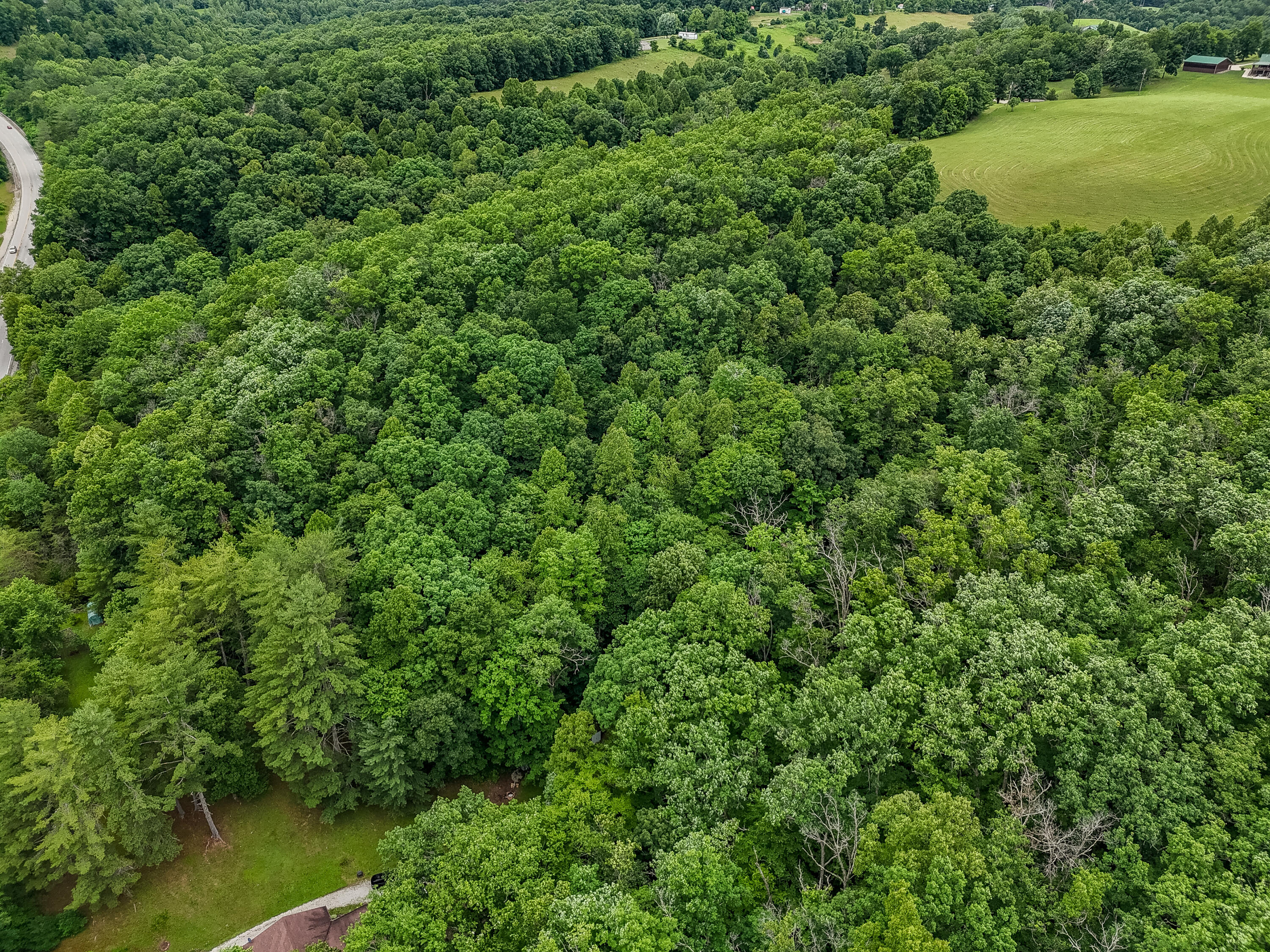 16596 W Us. Highway 60 Property Photo 52
