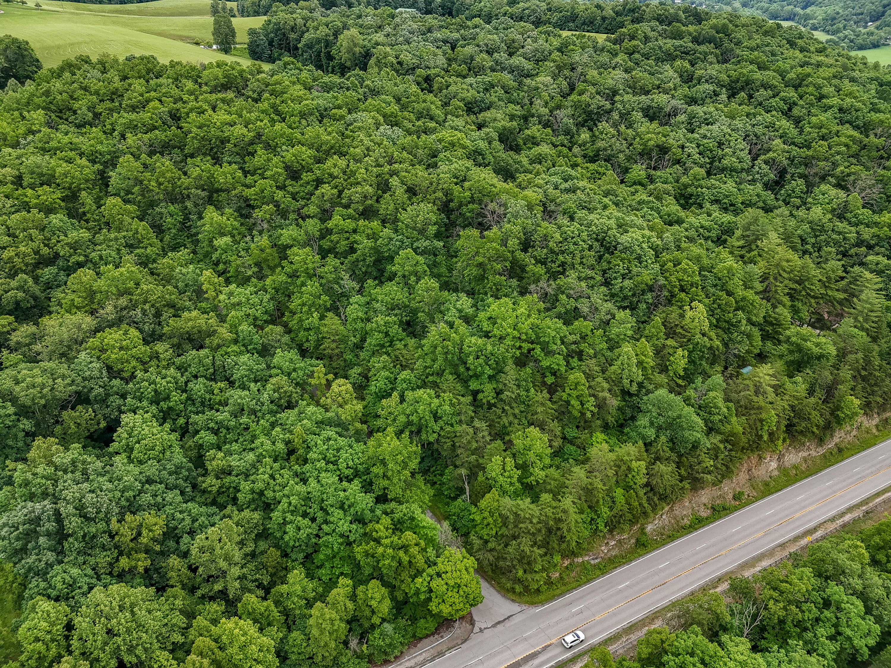 16596 W Us. Highway 60 Property Photo 55