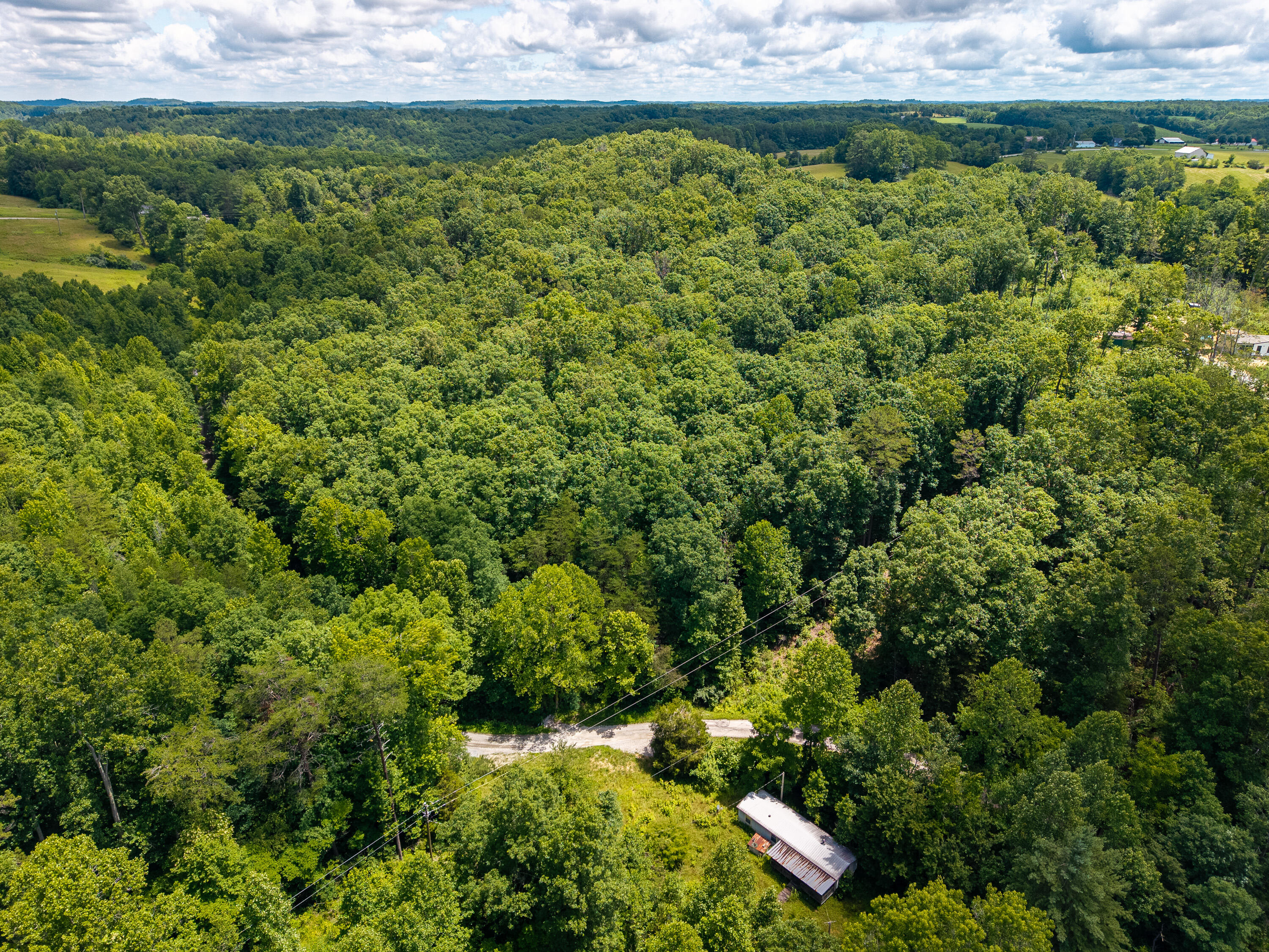 287 Mounce Road Property Photo 1