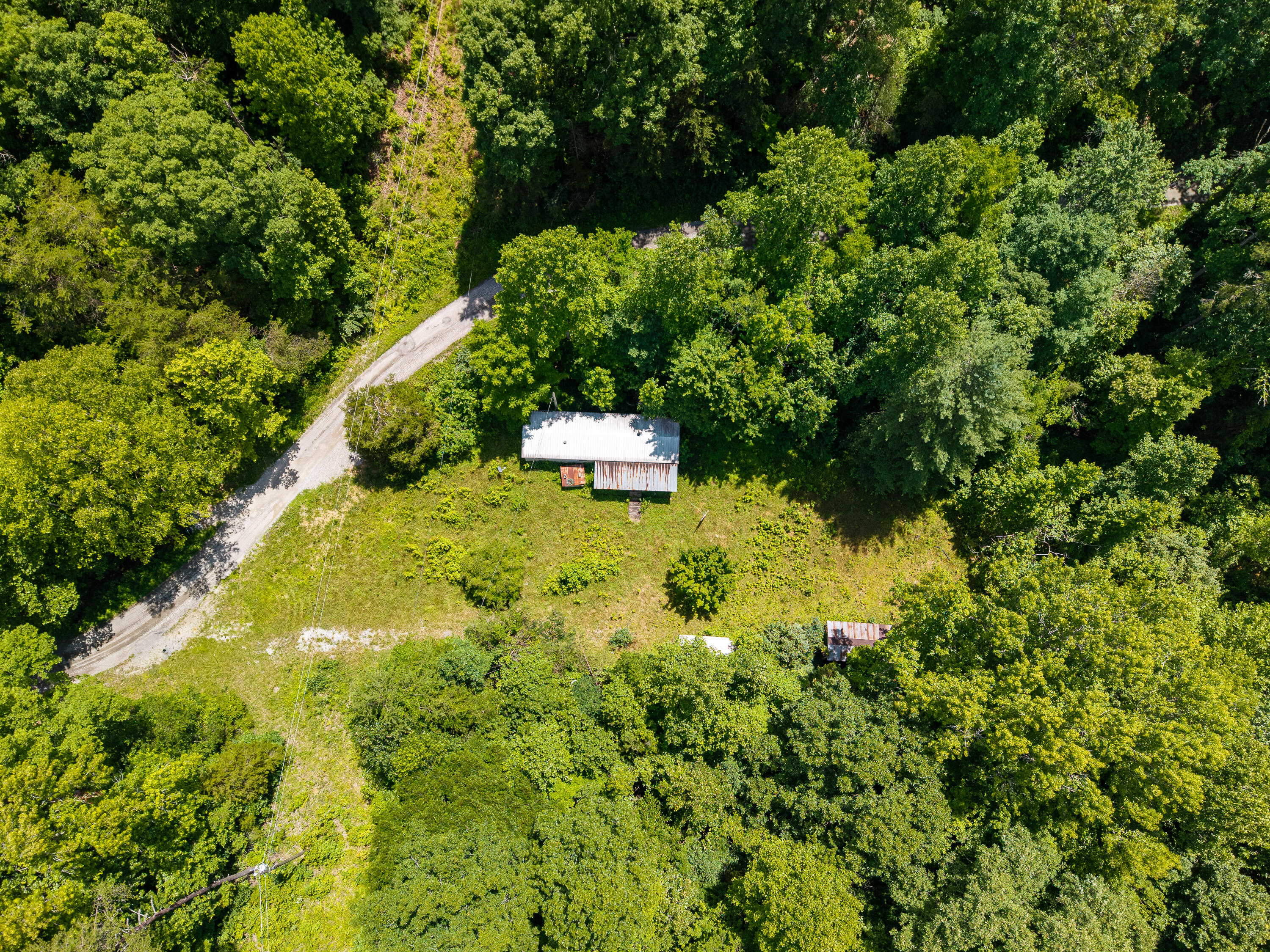 287 Mounce Road Property Photo 4