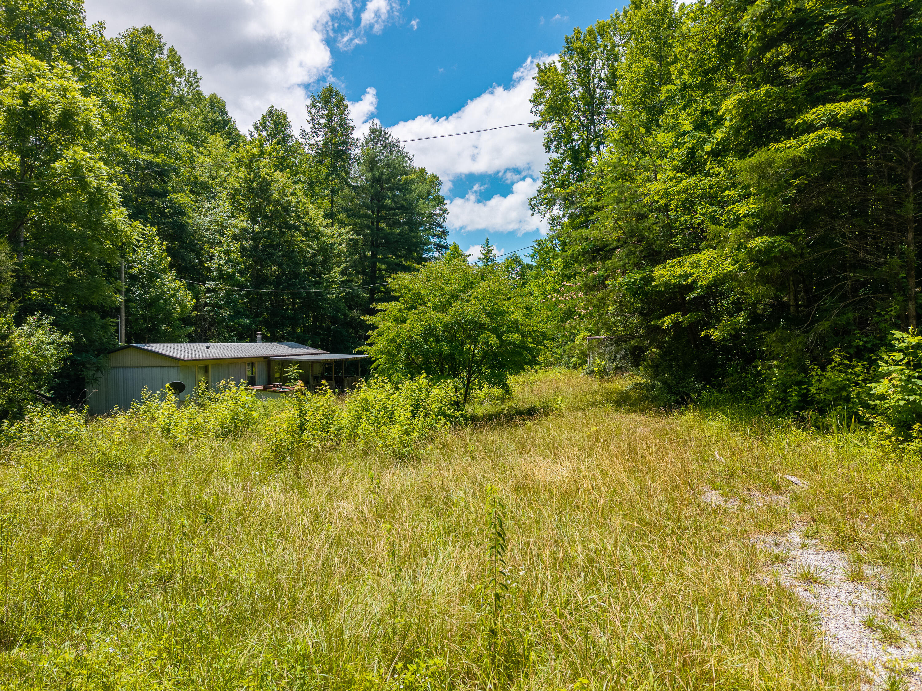 287 Mounce Road Property Photo 5