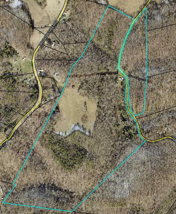 287 Mounce Road Property Photo 6