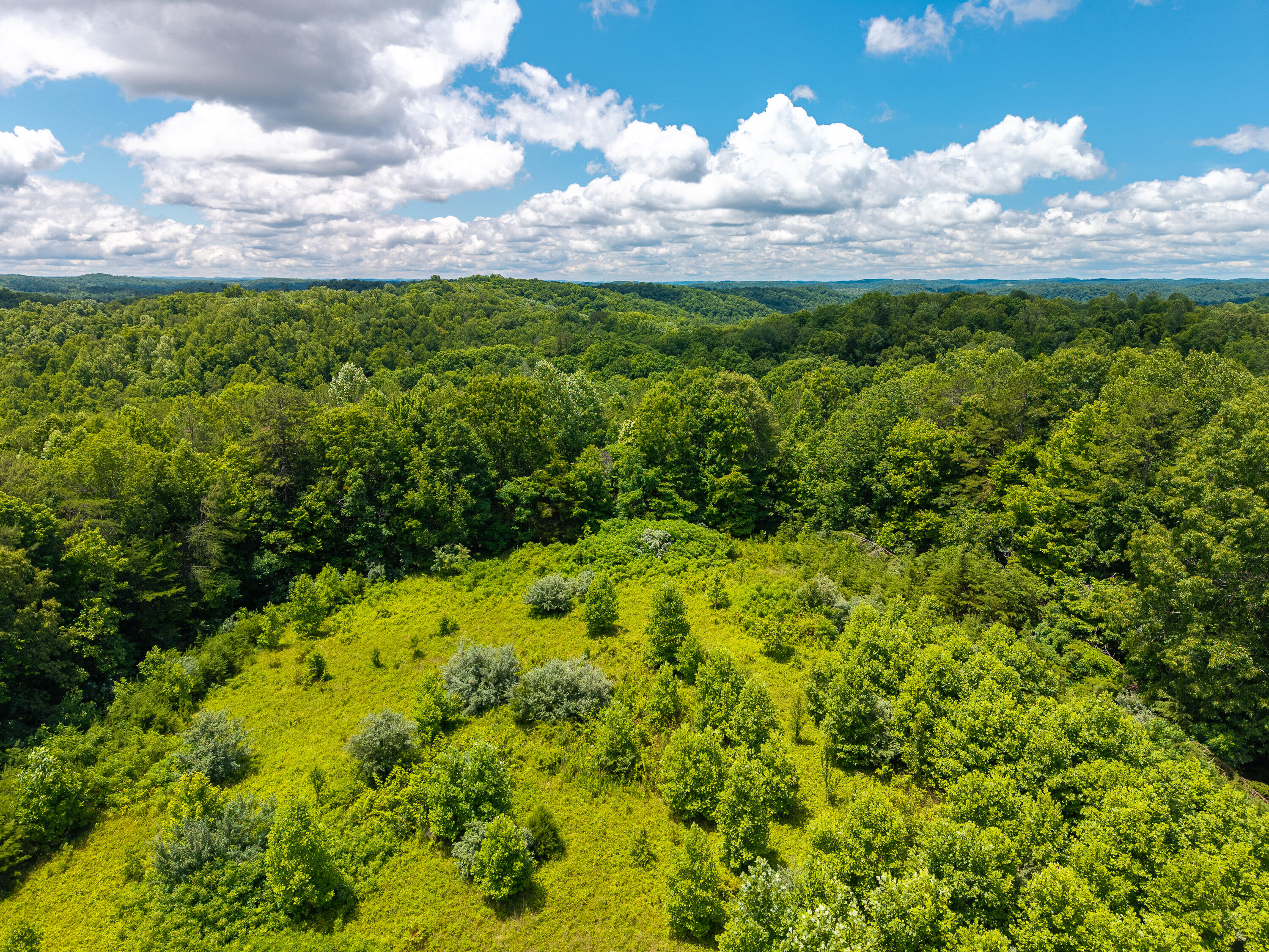 287 Mounce Road Property Photo 8