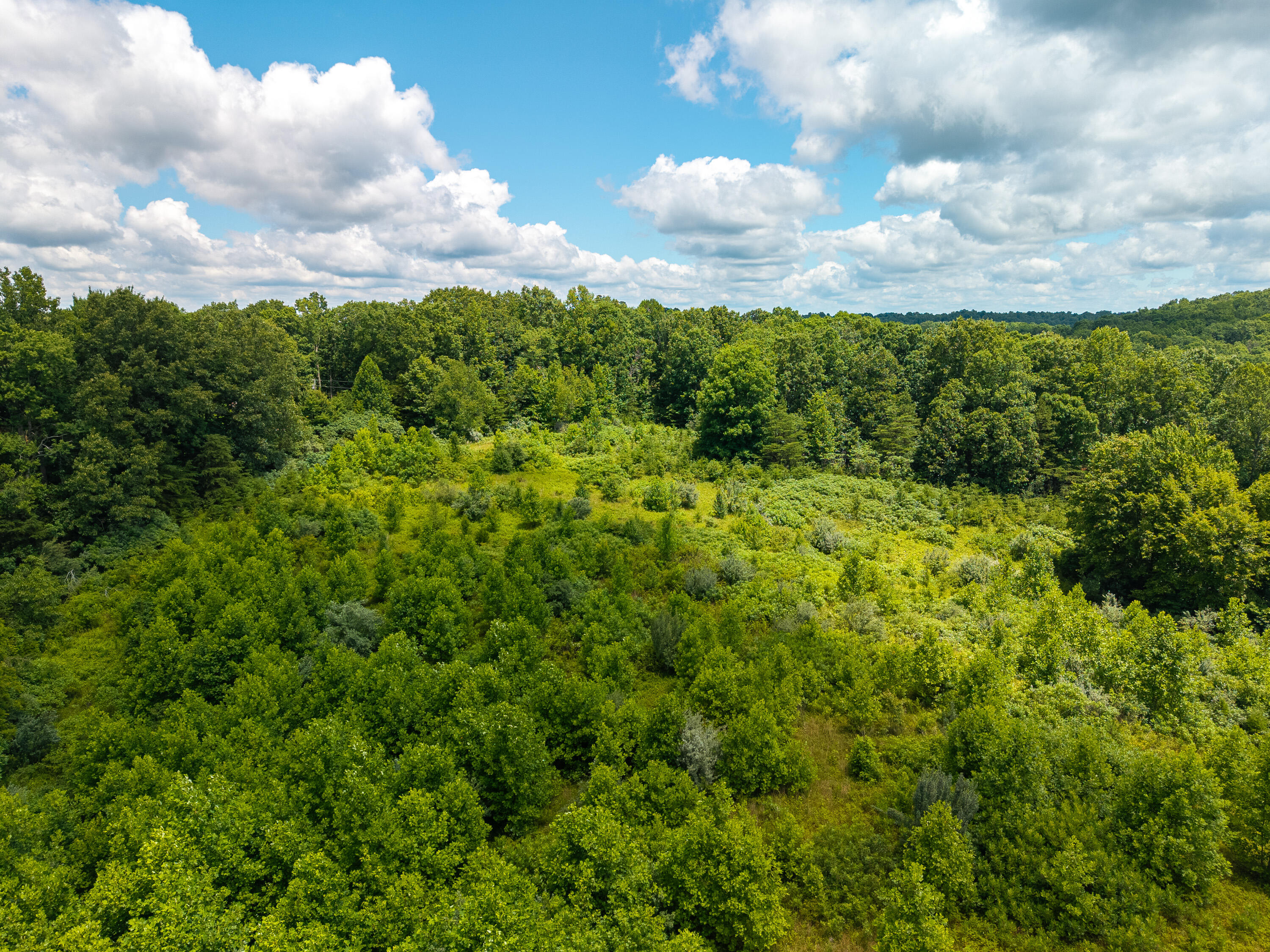 287 Mounce Road Property Photo 9