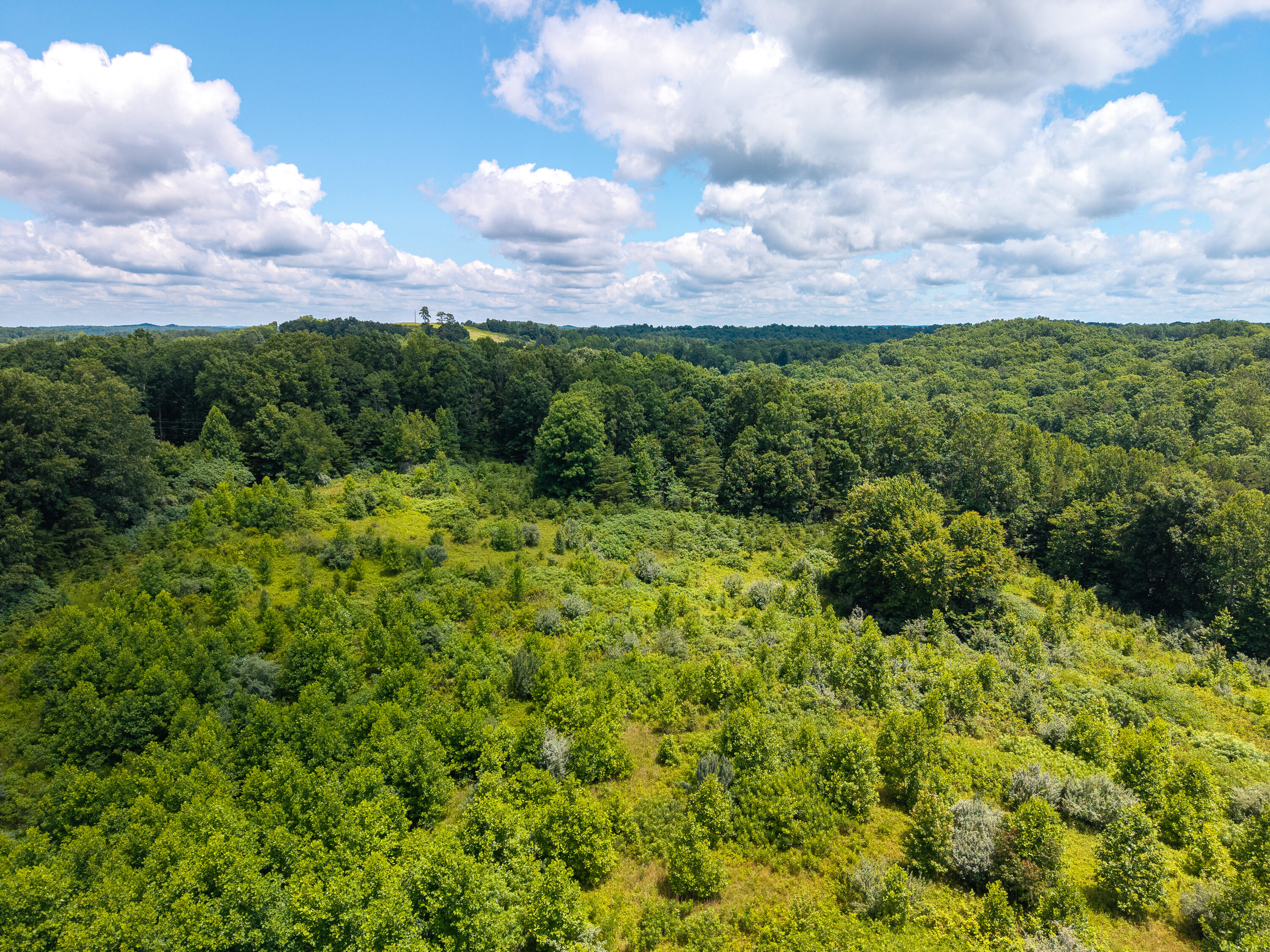 287 Mounce Road Property Photo 10