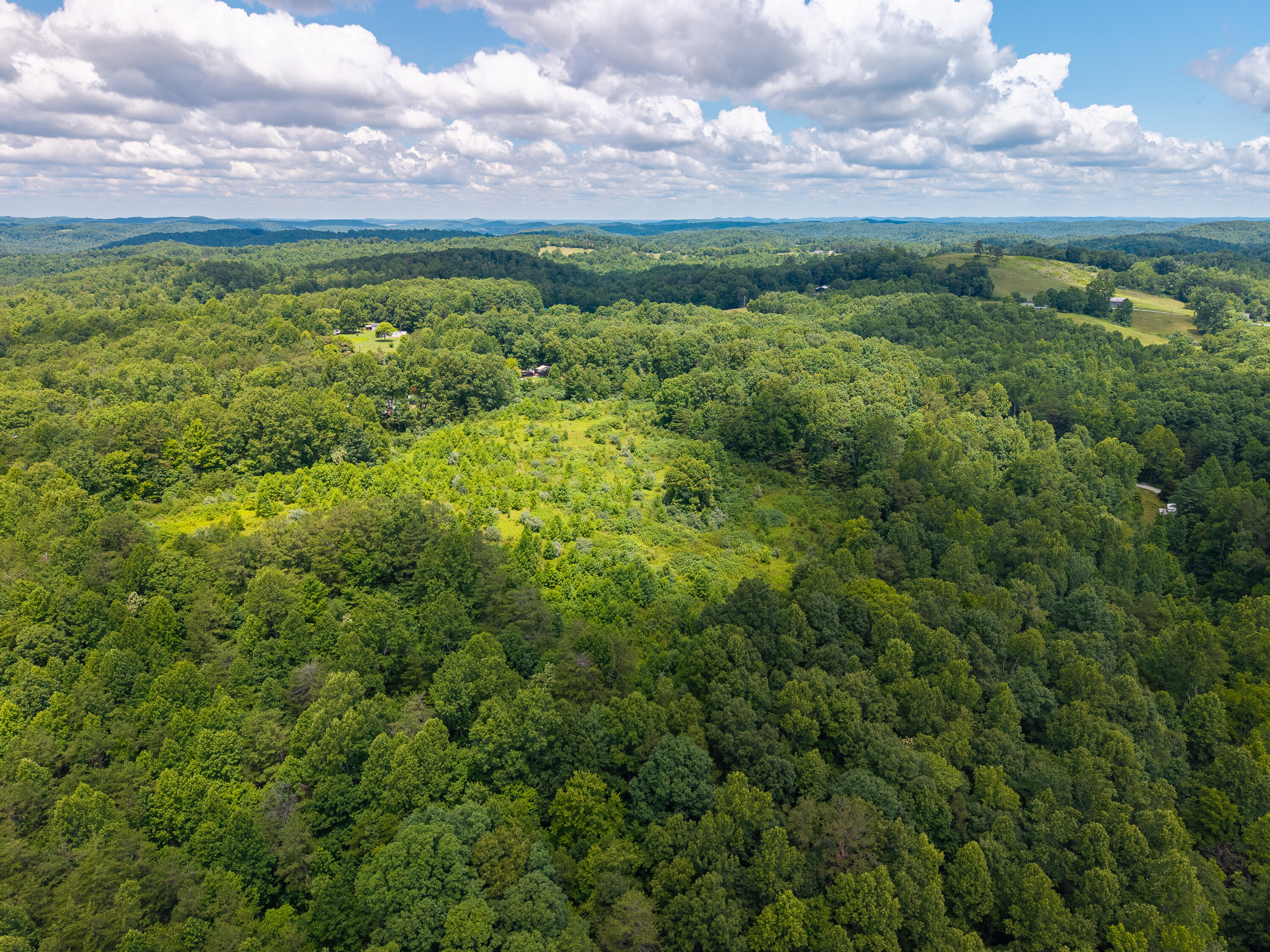 287 Mounce Road Property Photo 11
