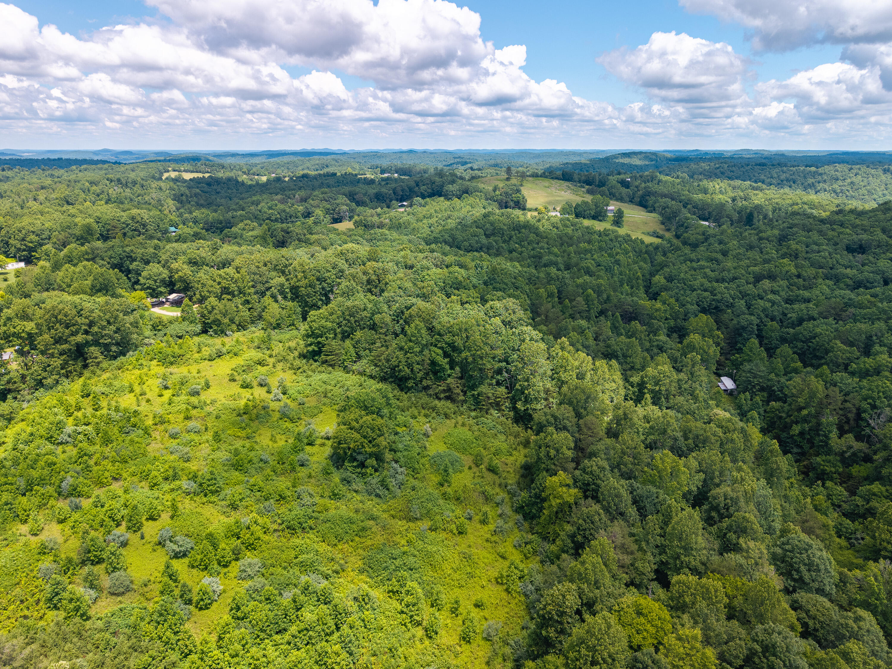 287 Mounce Road Property Photo 12