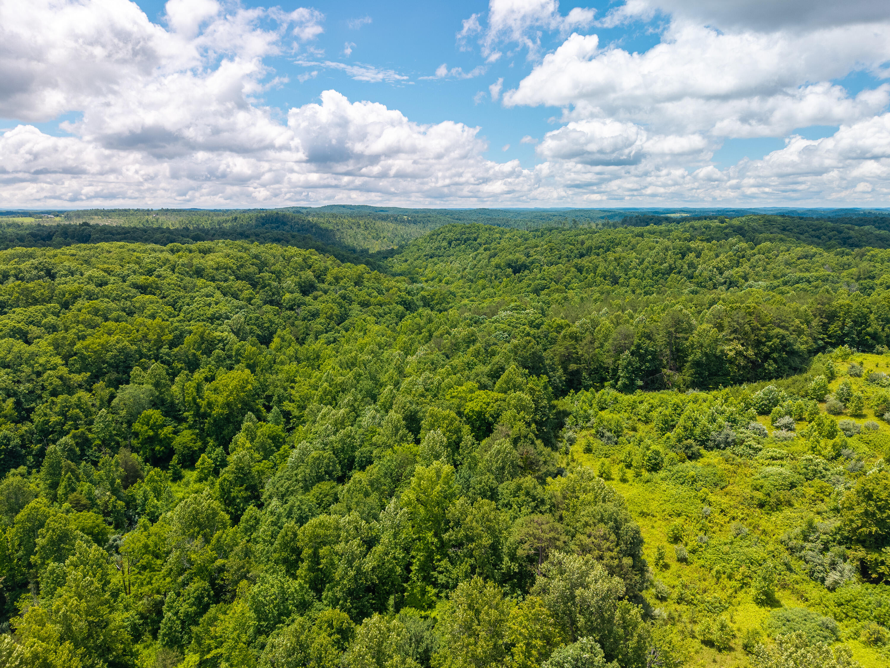 287 Mounce Road Property Photo 15