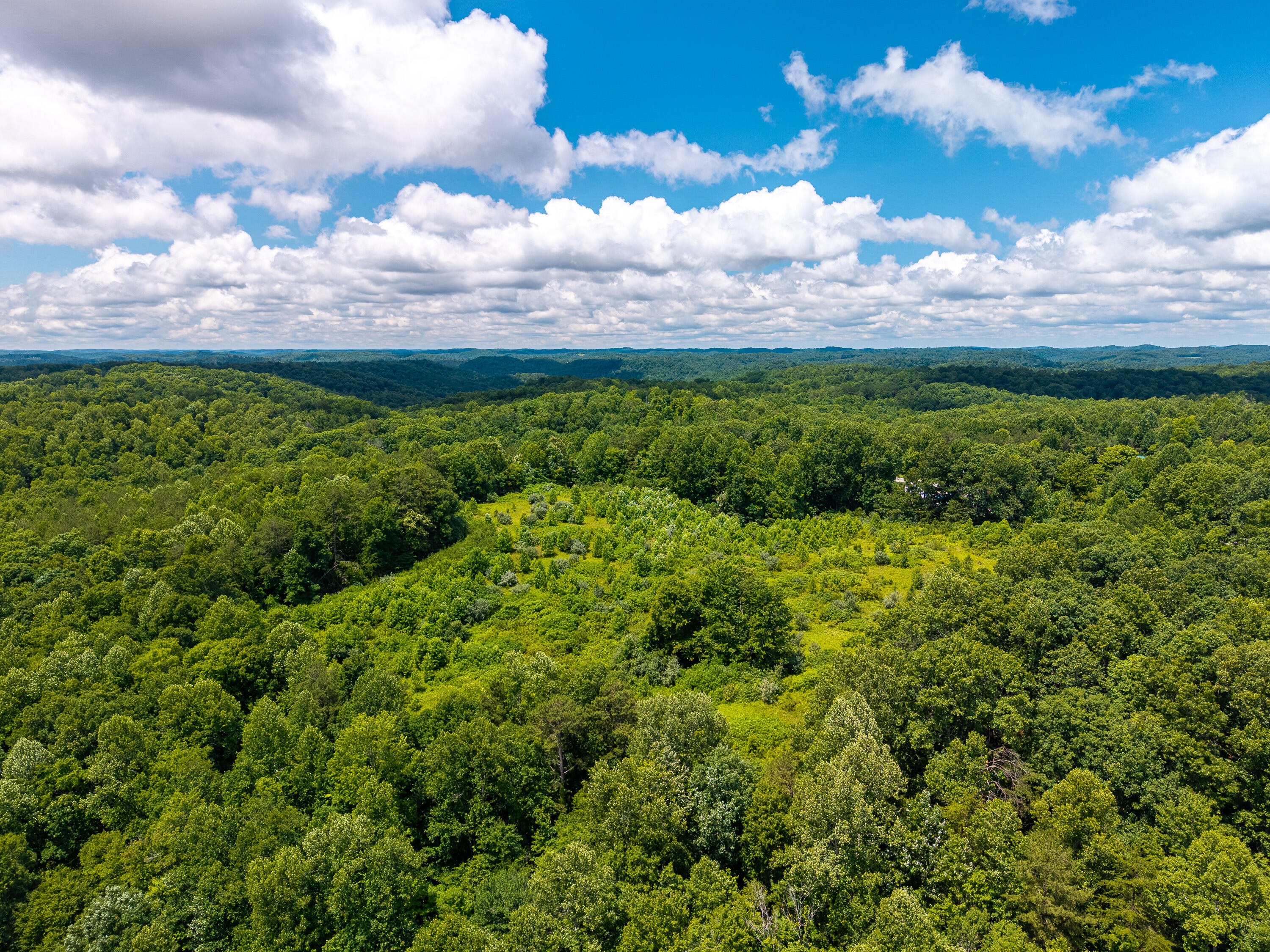 287 Mounce Road Property Photo 16