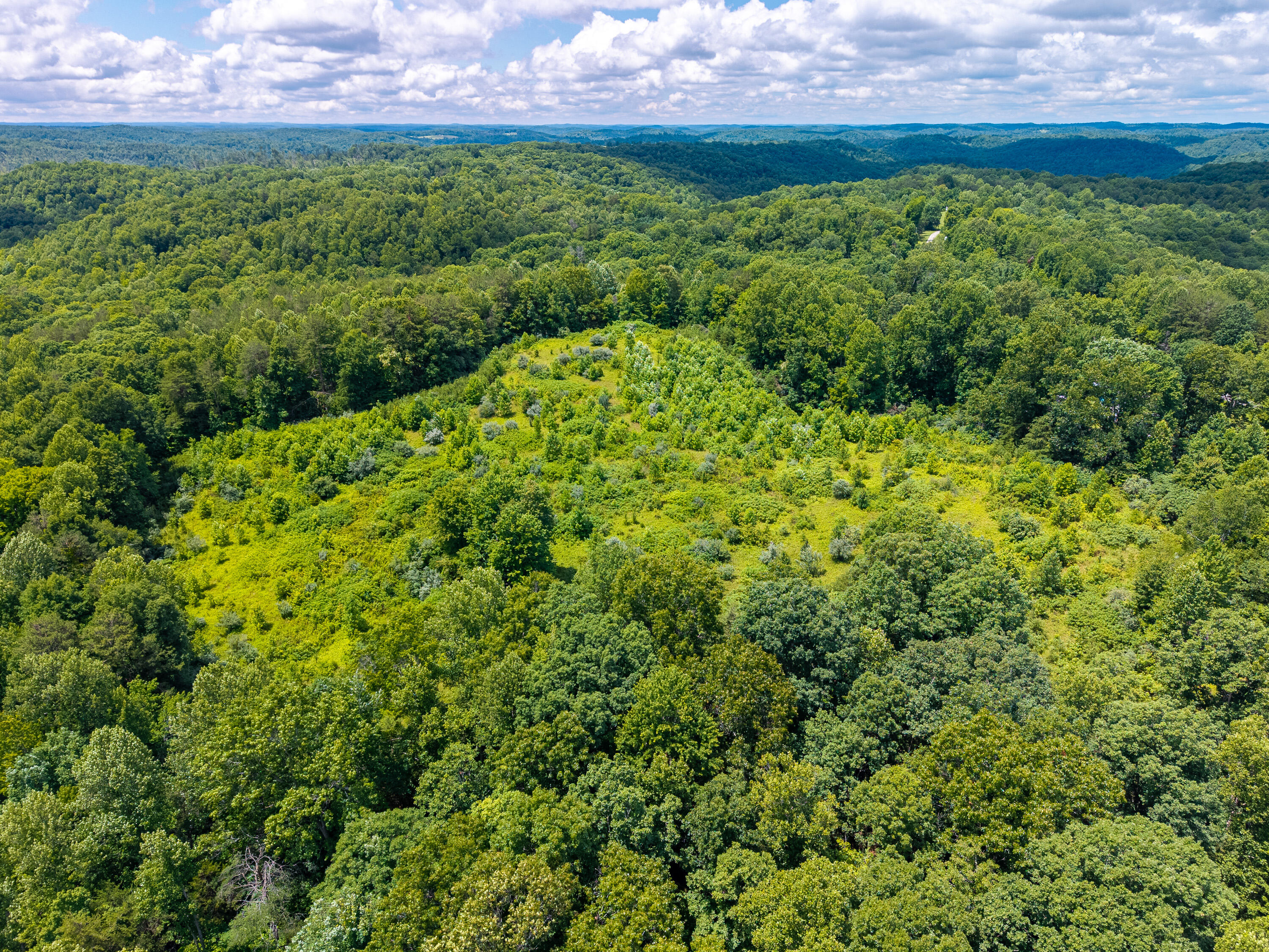 287 Mounce Road Property Photo 17