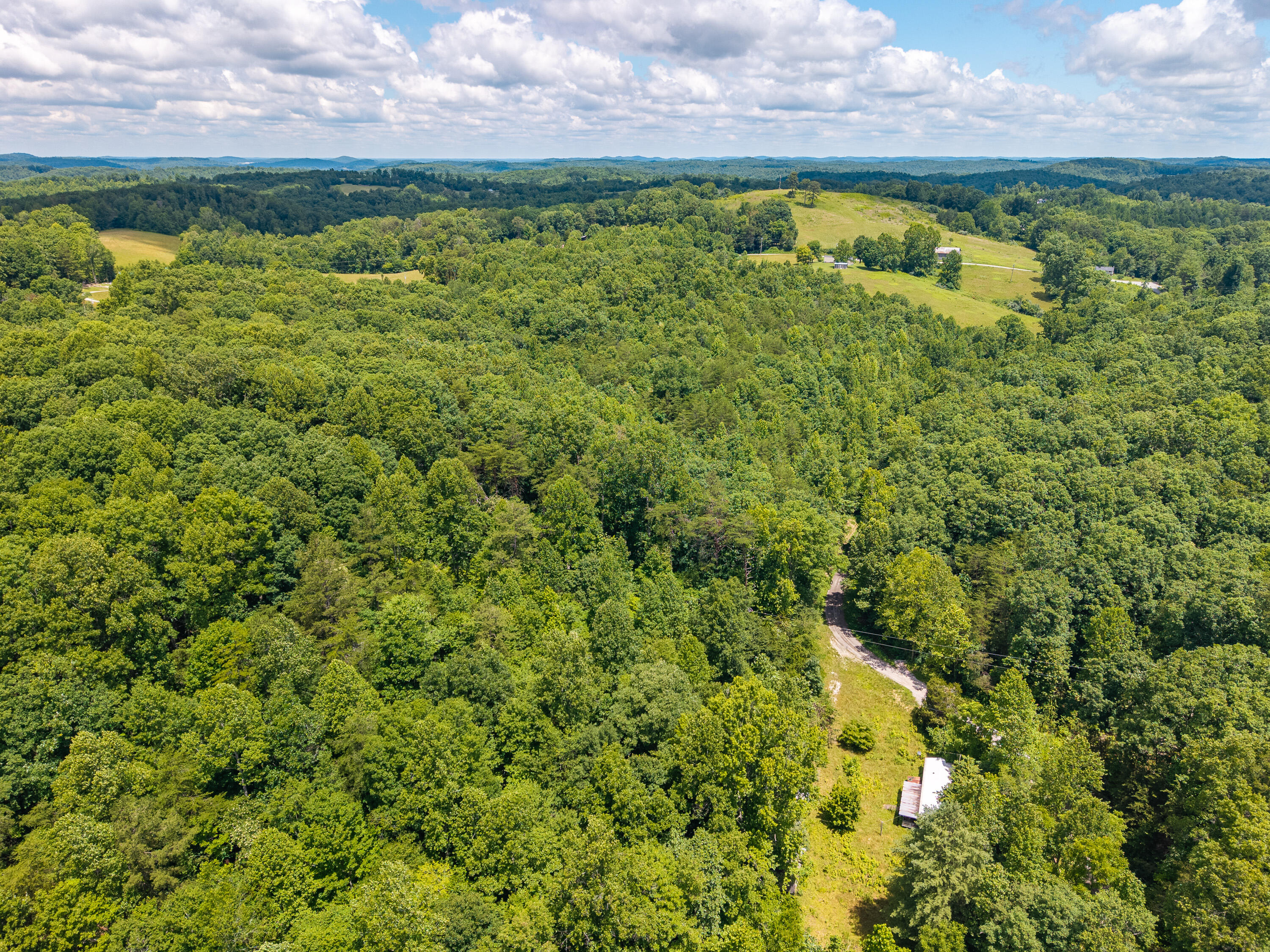 287 Mounce Road Property Photo 18