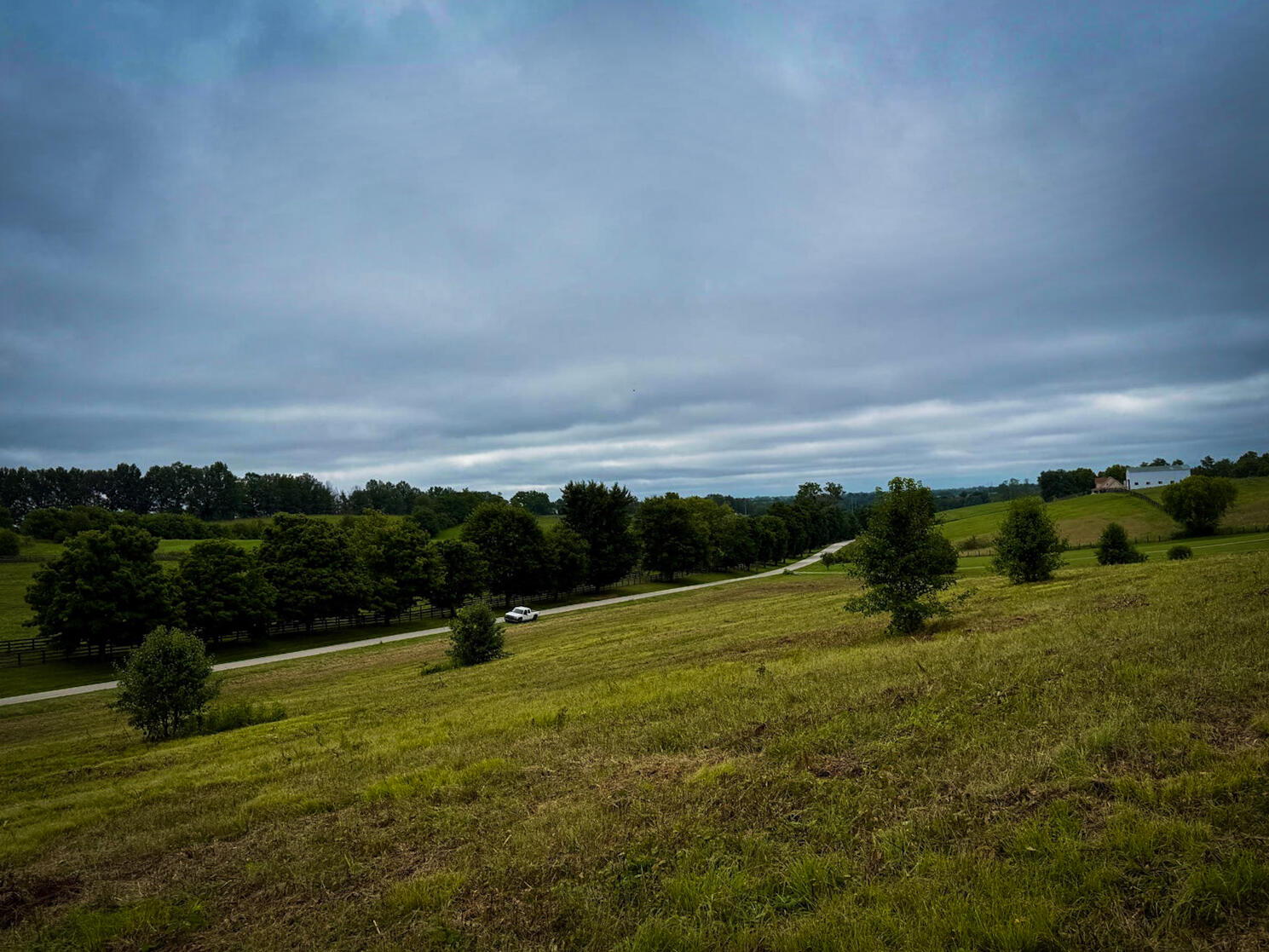 9a Walnut Grove Road Property Photo 5