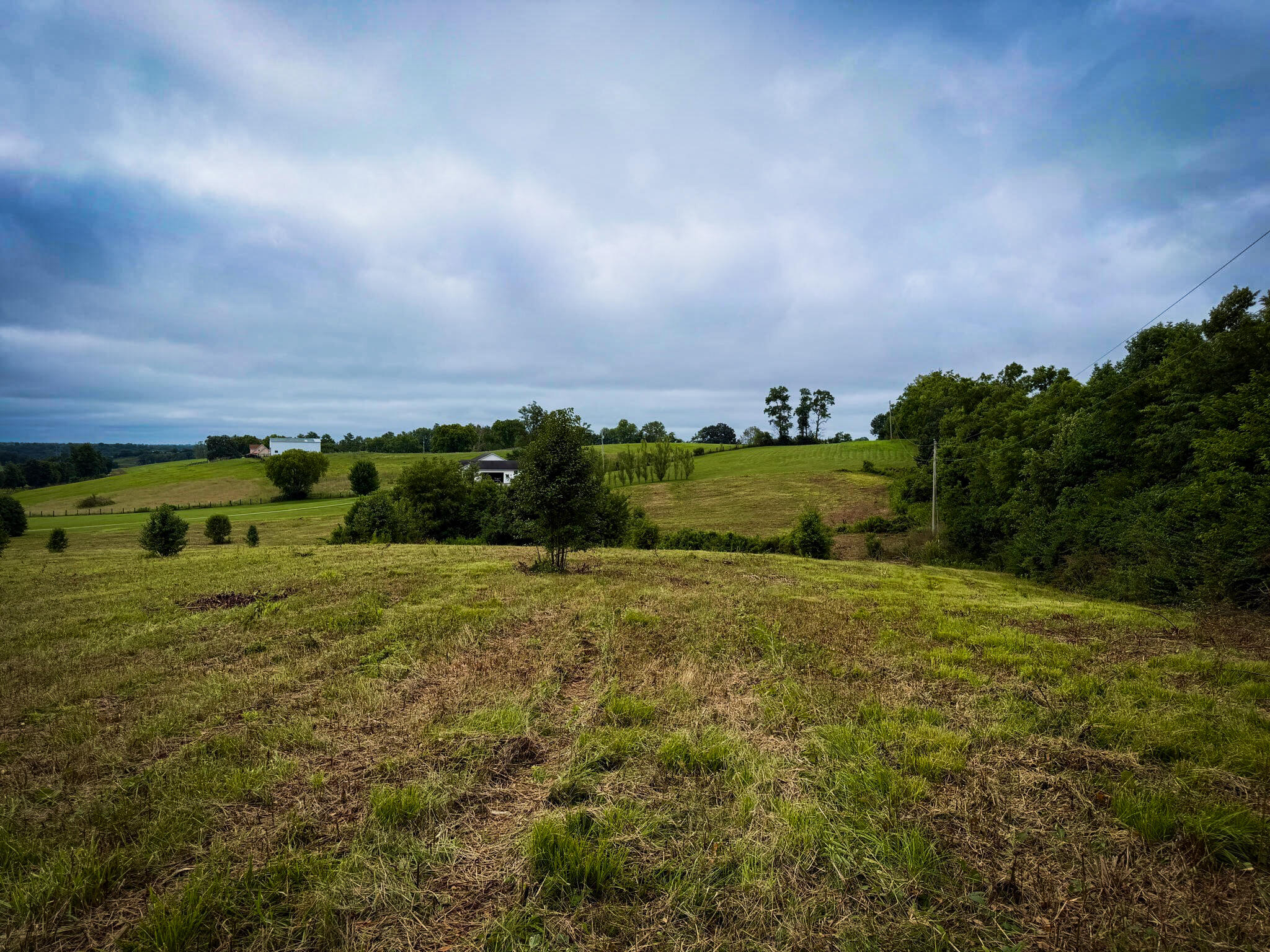 9a Walnut Grove Road Property Photo 8
