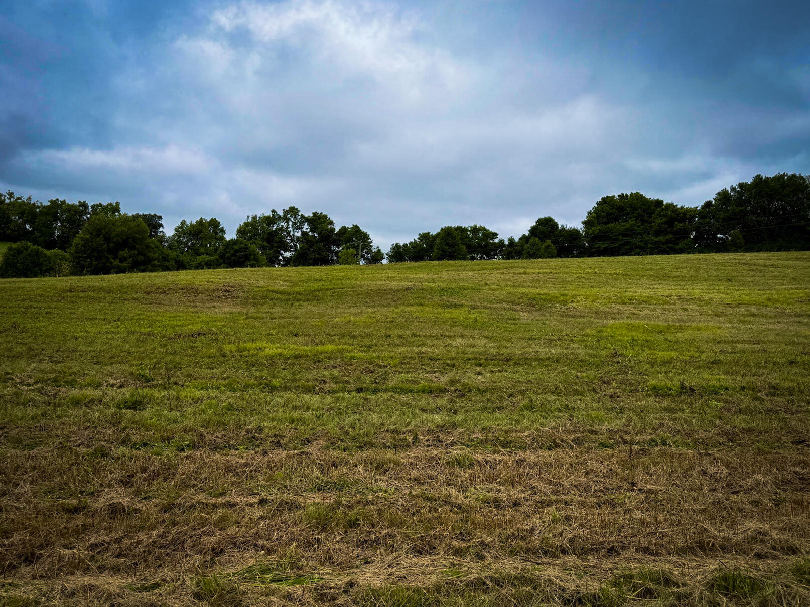 9a Walnut Grove Road Property Photo 11