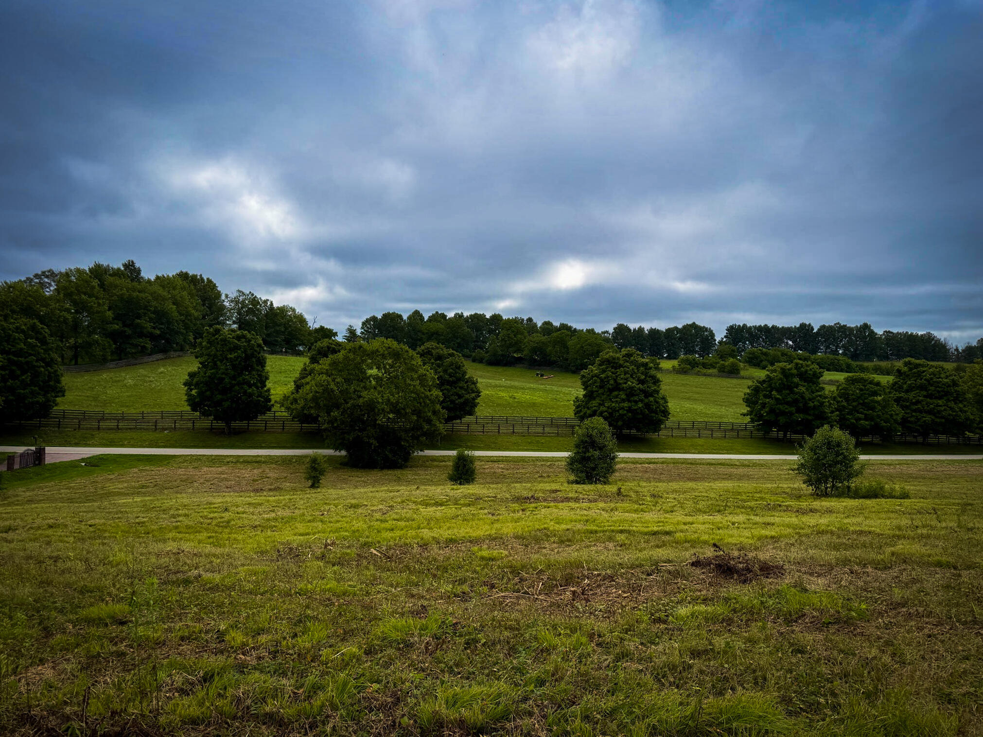 9a Walnut Grove Road Property Photo 14