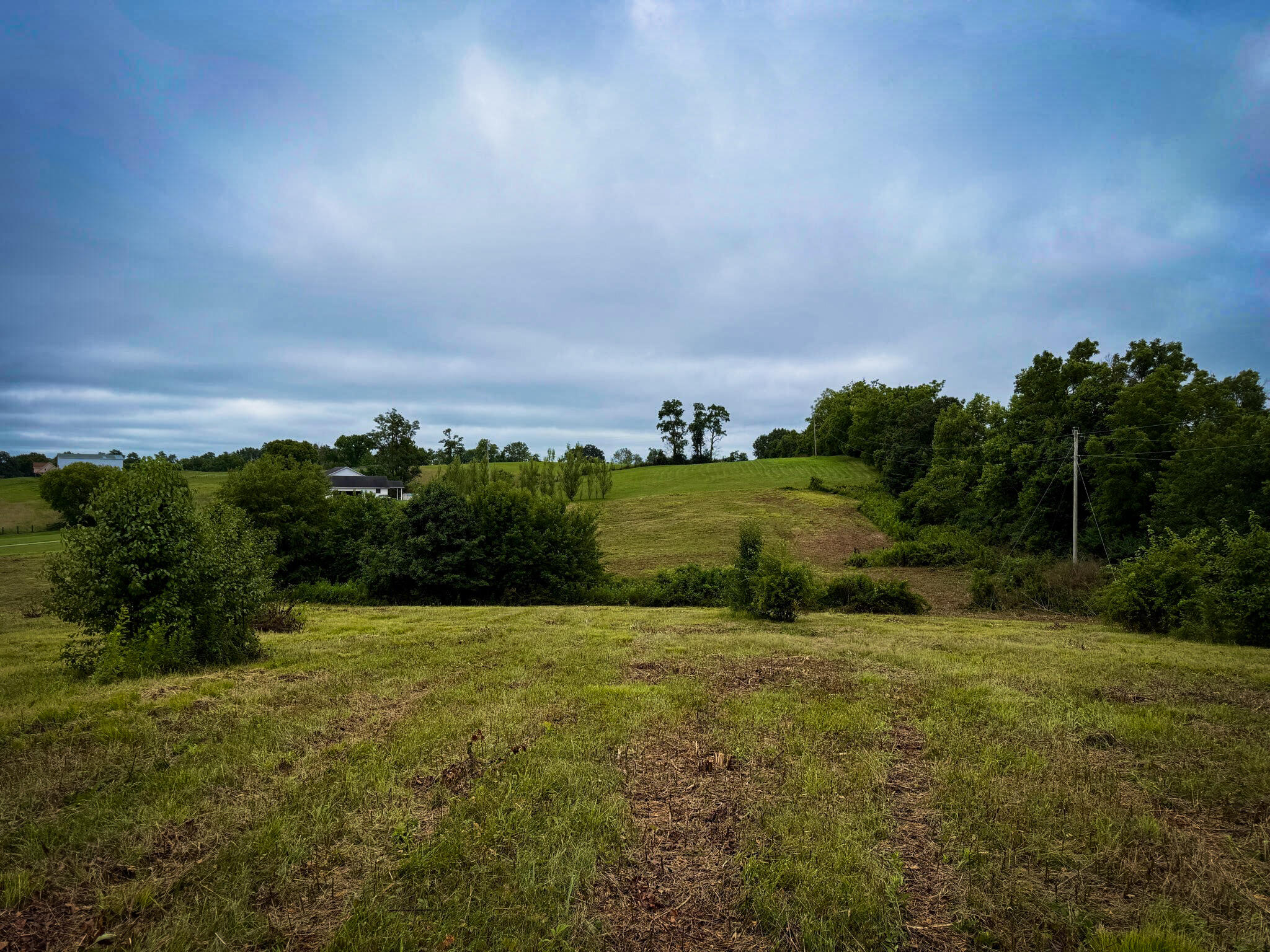 9a Walnut Grove Road Property Photo 15