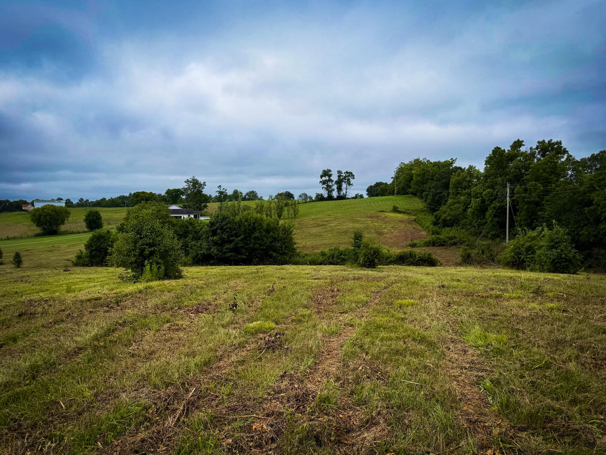 9a Walnut Grove Road Property Photo 17